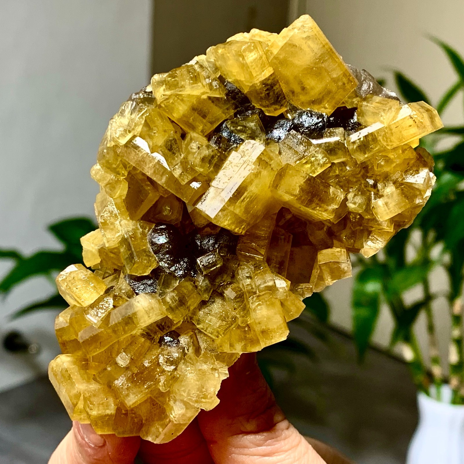 300G Shiny Golden Cuboid Barite Crystal Based on the Purple Spherical Fluorite