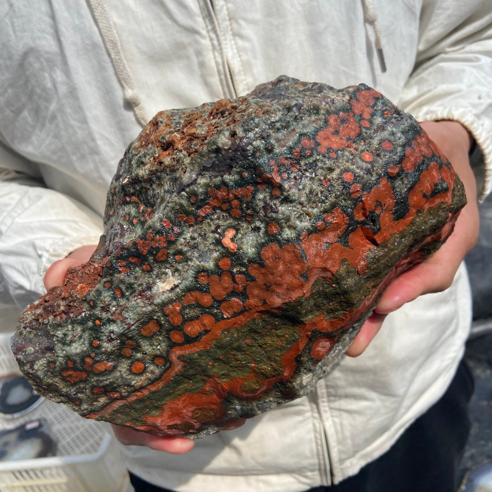 8lb Rare Natural colourful ocean jasper quartz crystal rough mineral specimen