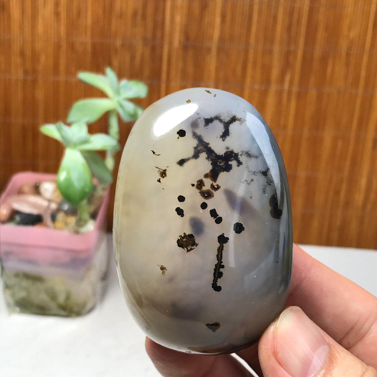 67mm Natural aquatic plants agate pretty Crystal specimens 142g A1633