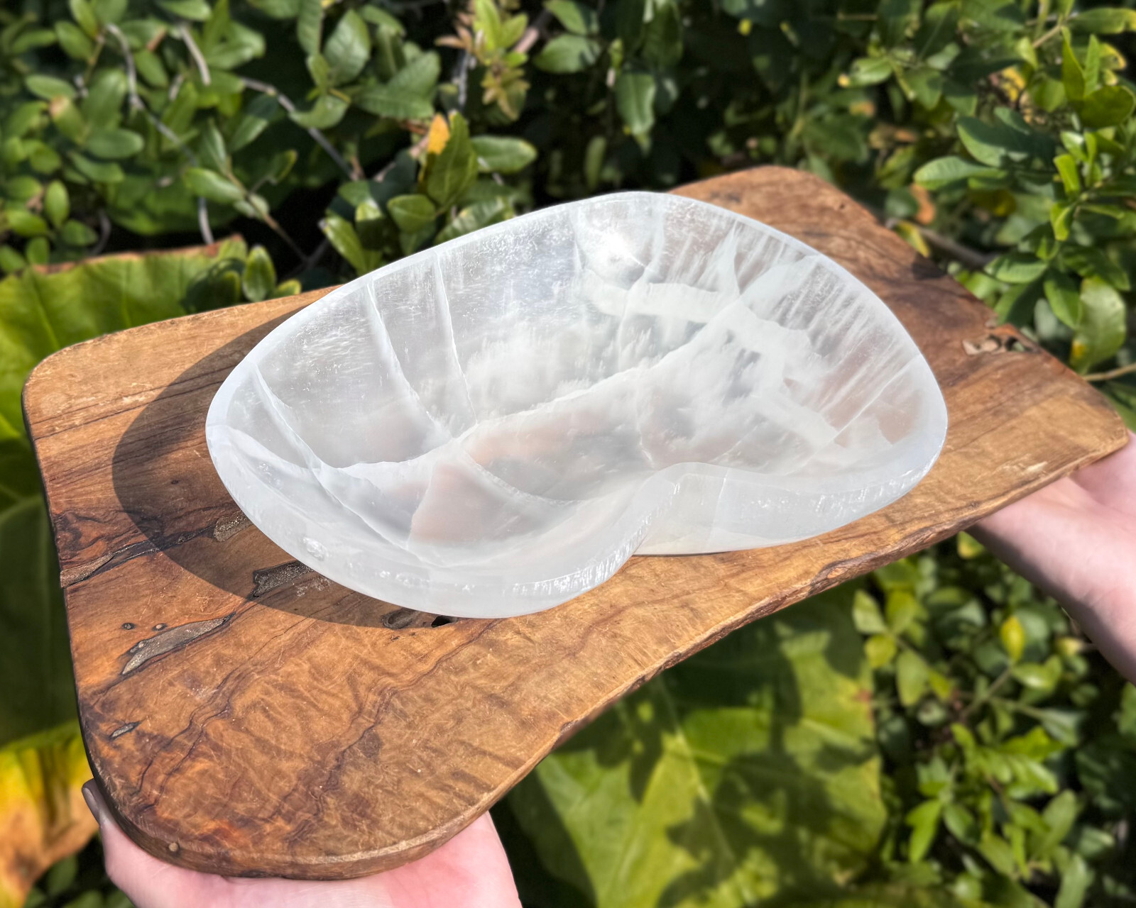 HUGE 10″ Selenite Free Form Charging Bowls (Selenite Crystal Bowl,Selenite Bowl)