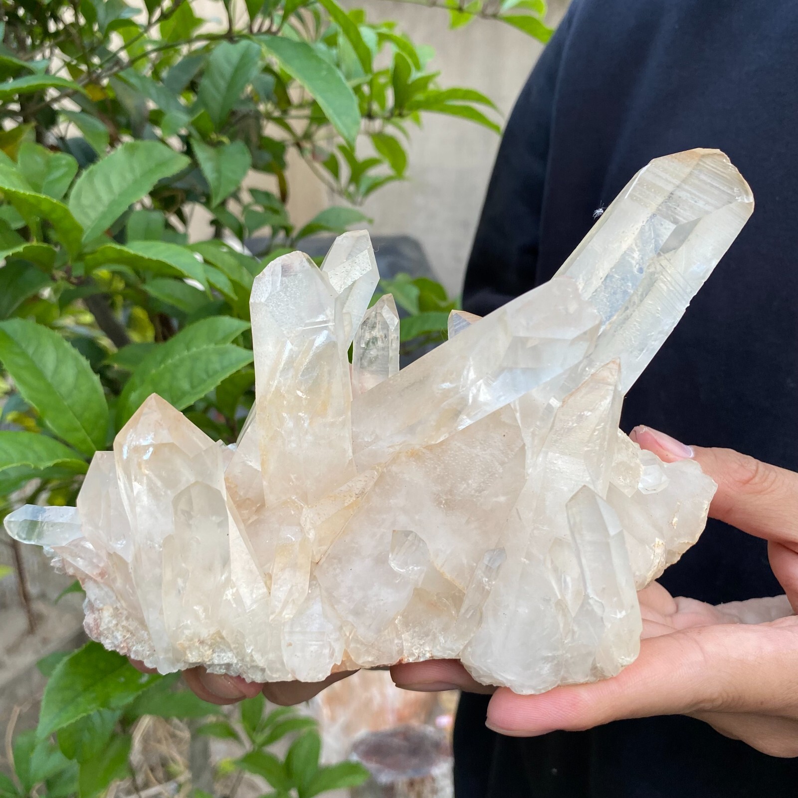 2lb Natural Clear White quart Crystal Cluster Raw Healing Specimen
