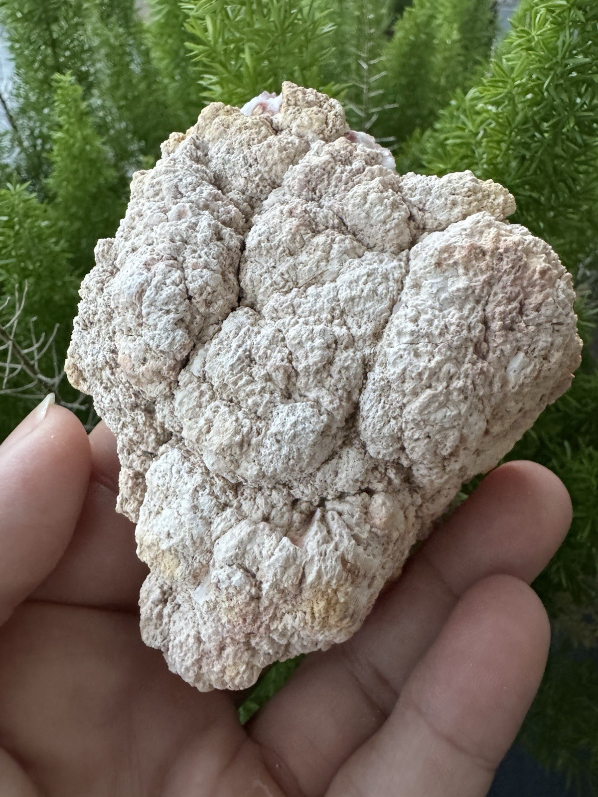 186g Grade A PINK AMETHYST GEODE -La Patagonia Argentina, El Choique Mine