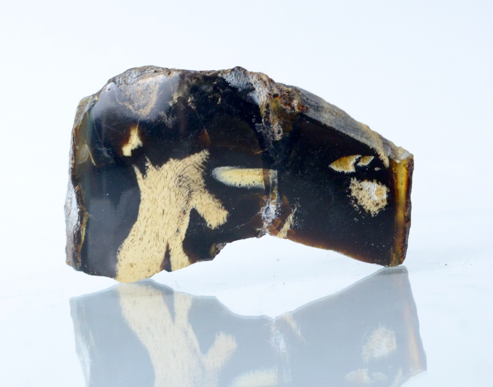 Polished Blue Amber | UV Reactive Amber Indonesia B116