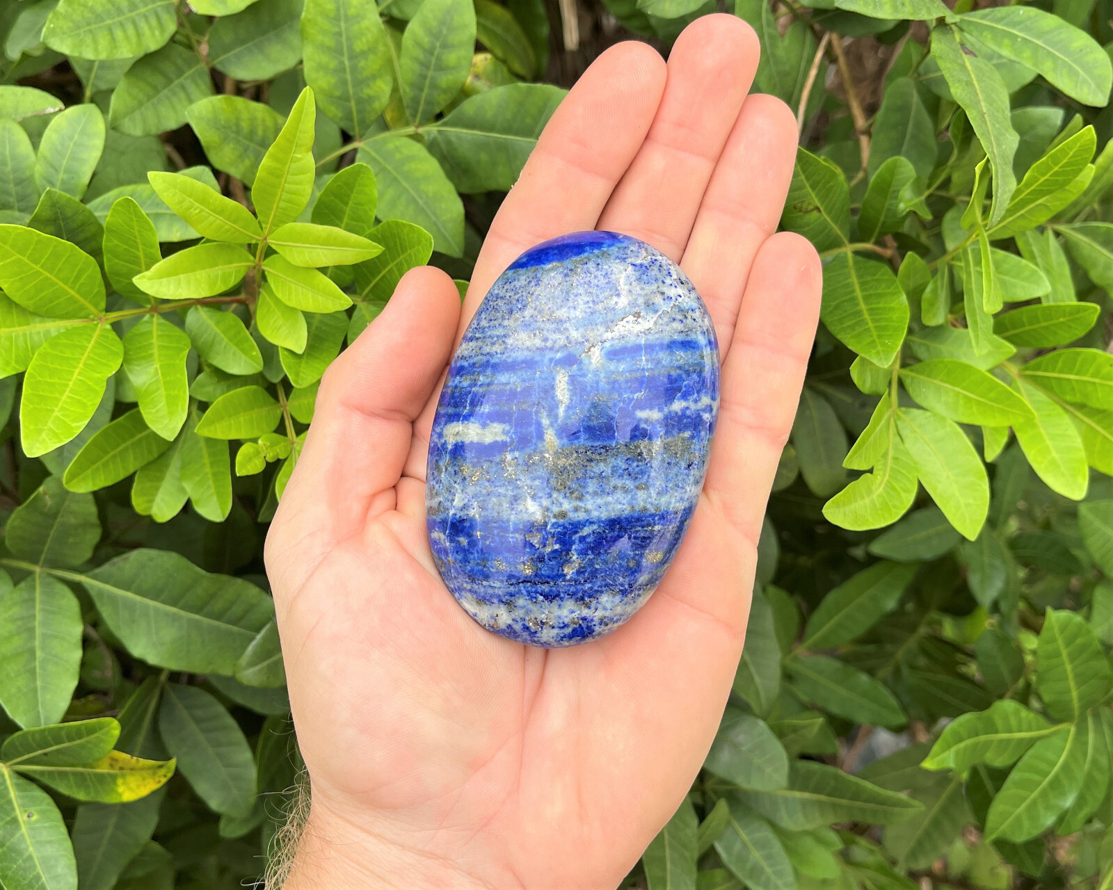 Lapis Palm Stone MEDIUM, 2.5 – 3″ (Lapis Lazuli Polished Gemstone Worry Stone)