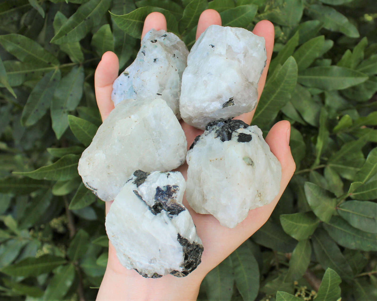 LARGE Rough Rainbow Moonstone Chunks, 2″ – 3″ Choose Amount (Raw Jumbo Crystal)