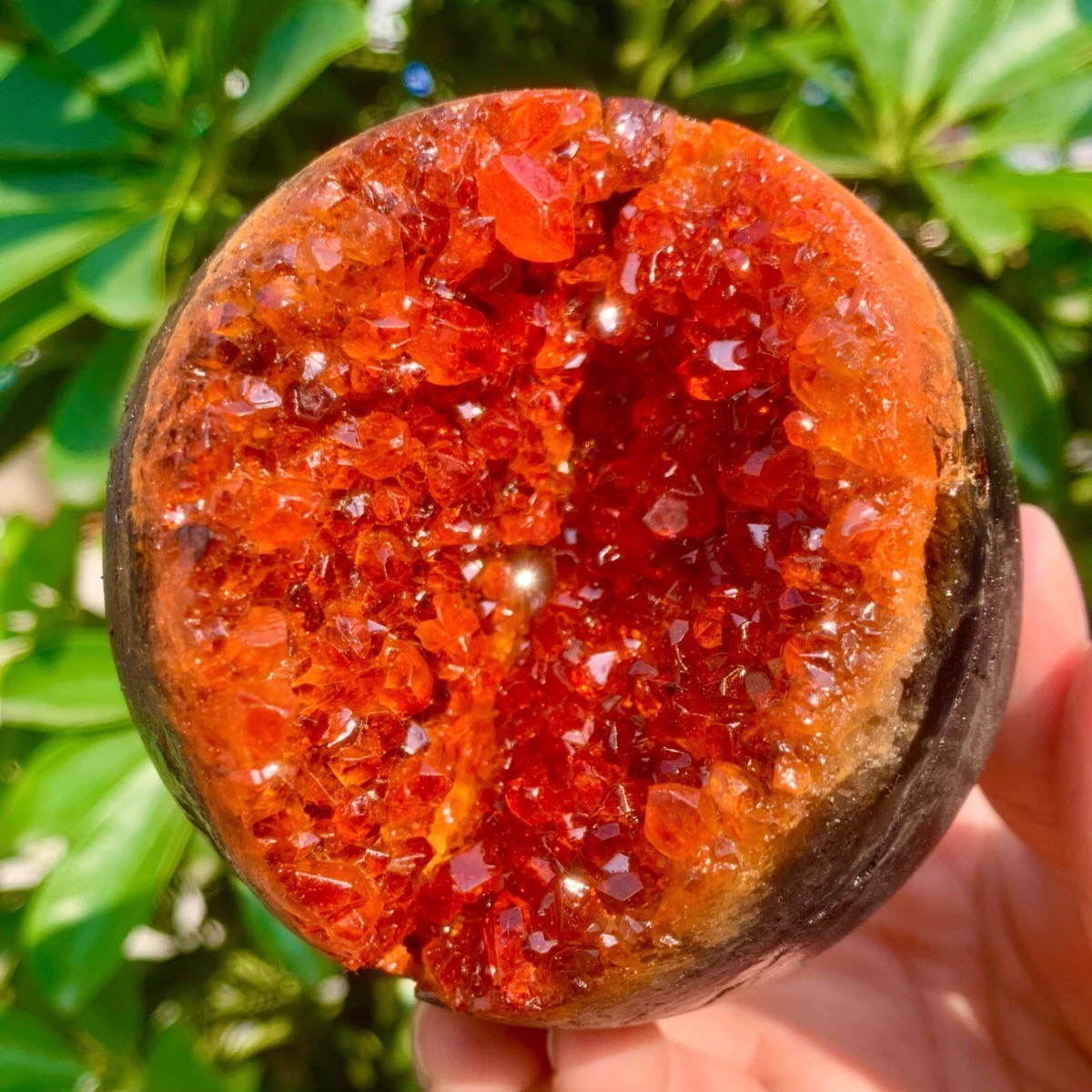 3.3″ 1.7LB Orange Druzy Crystal Sphere Good Color Cluster Ball Home Office Decor