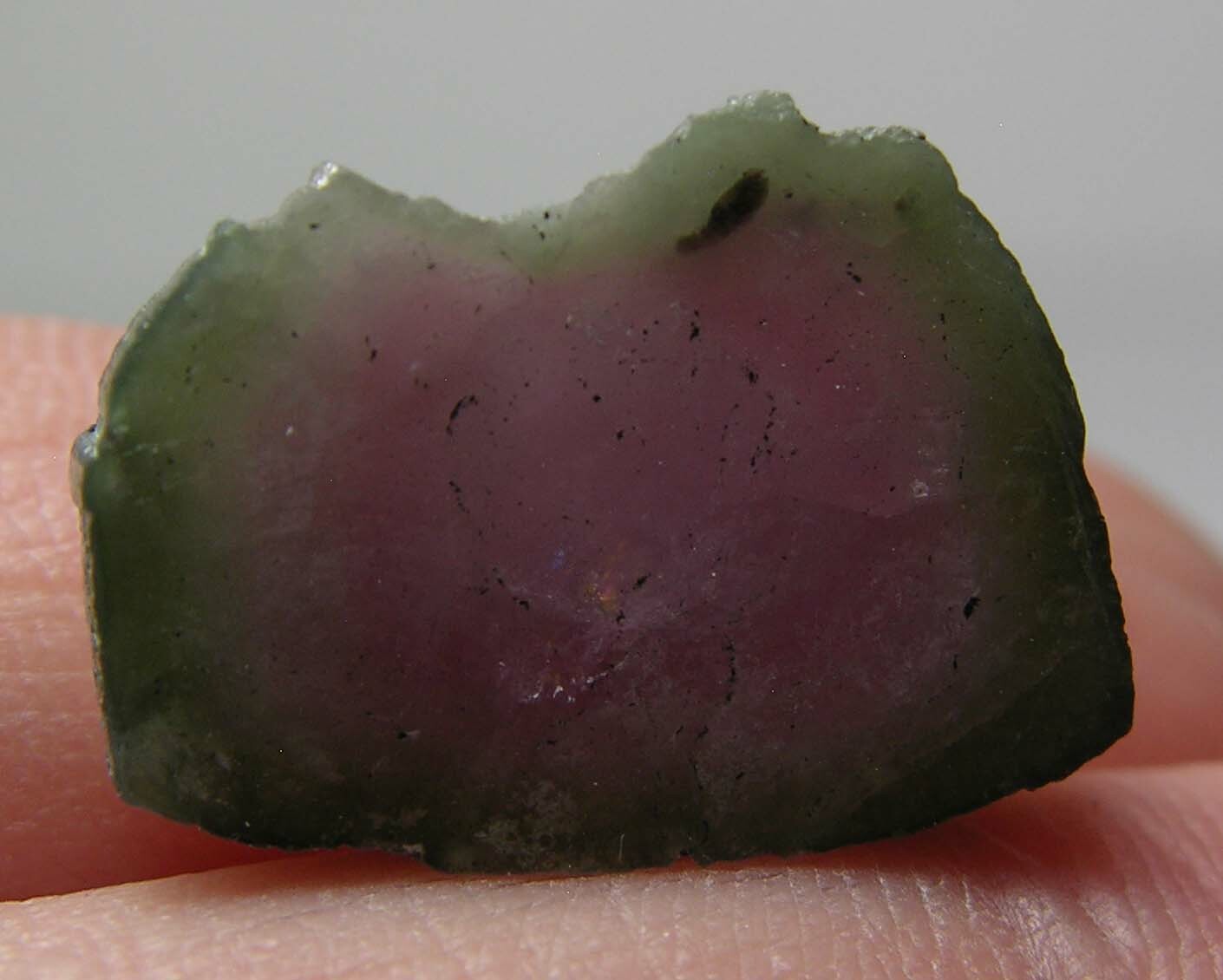 9.50ct Afghan 100% Natural Raw Watermelon Tourmaline Crystal Specimen 1.90g 17mm