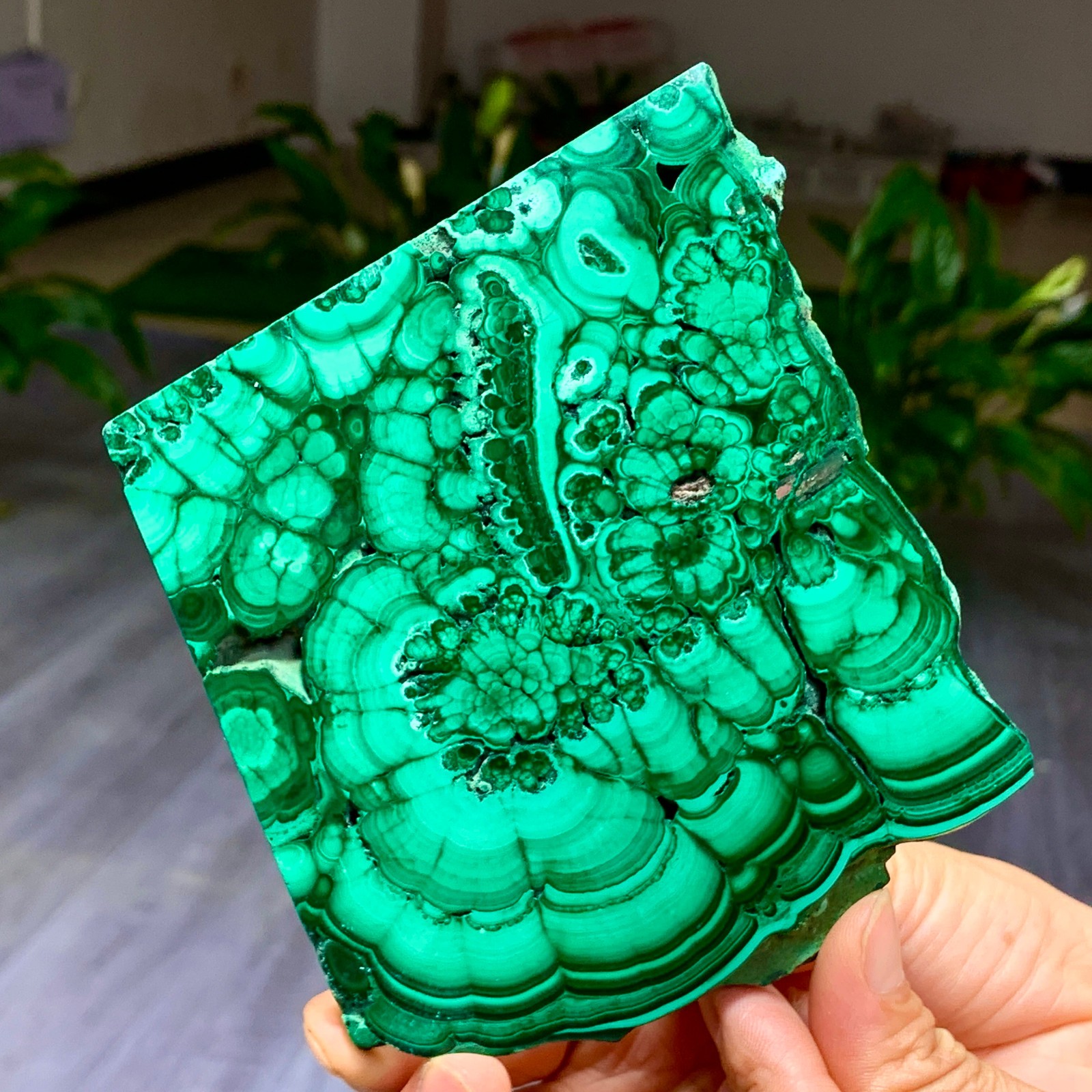 290G Natural glossy Malachite transparent cluster rough mineral sample