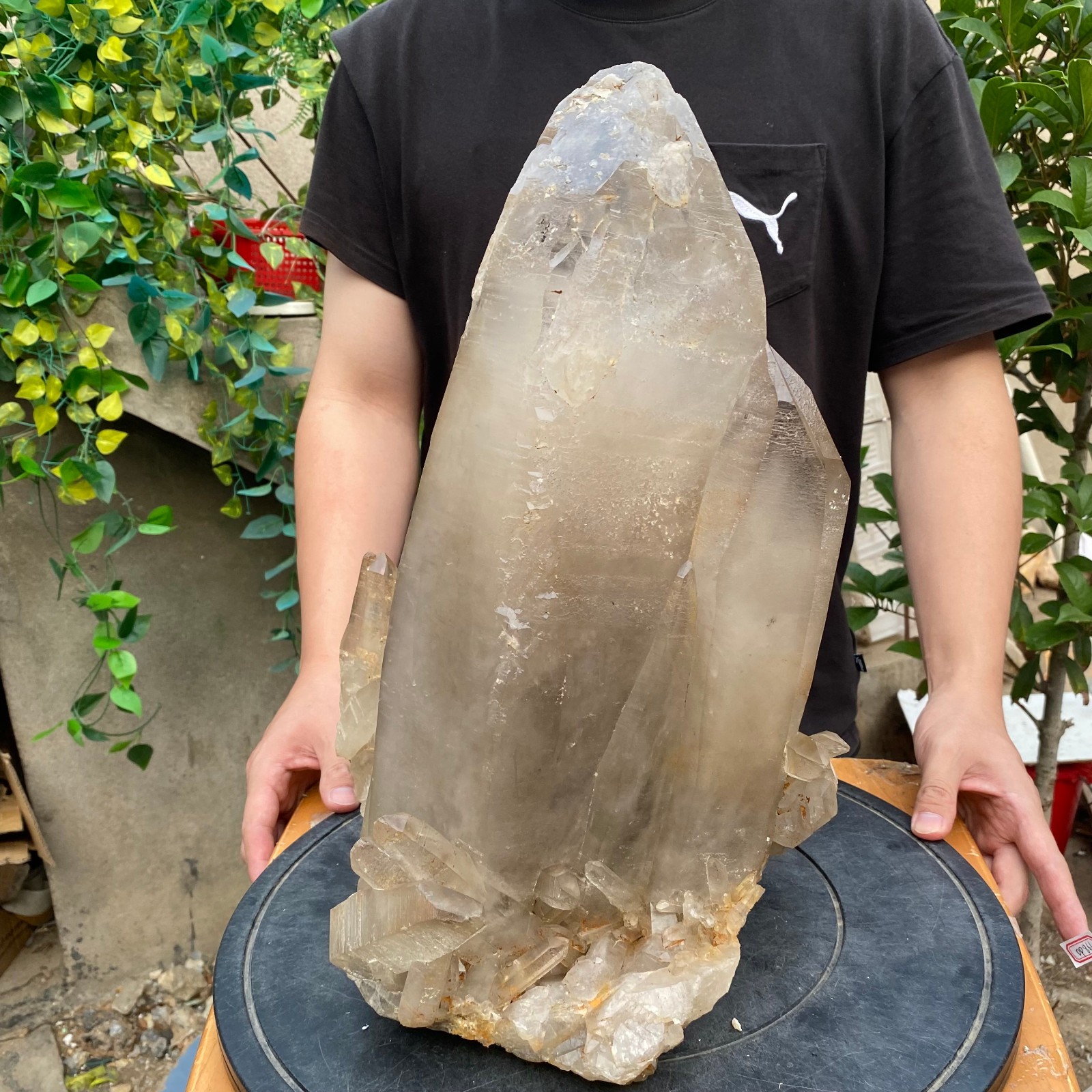 23900G A+Large Natural clear white Crystal Himalayan quartz cluster /mineralsls