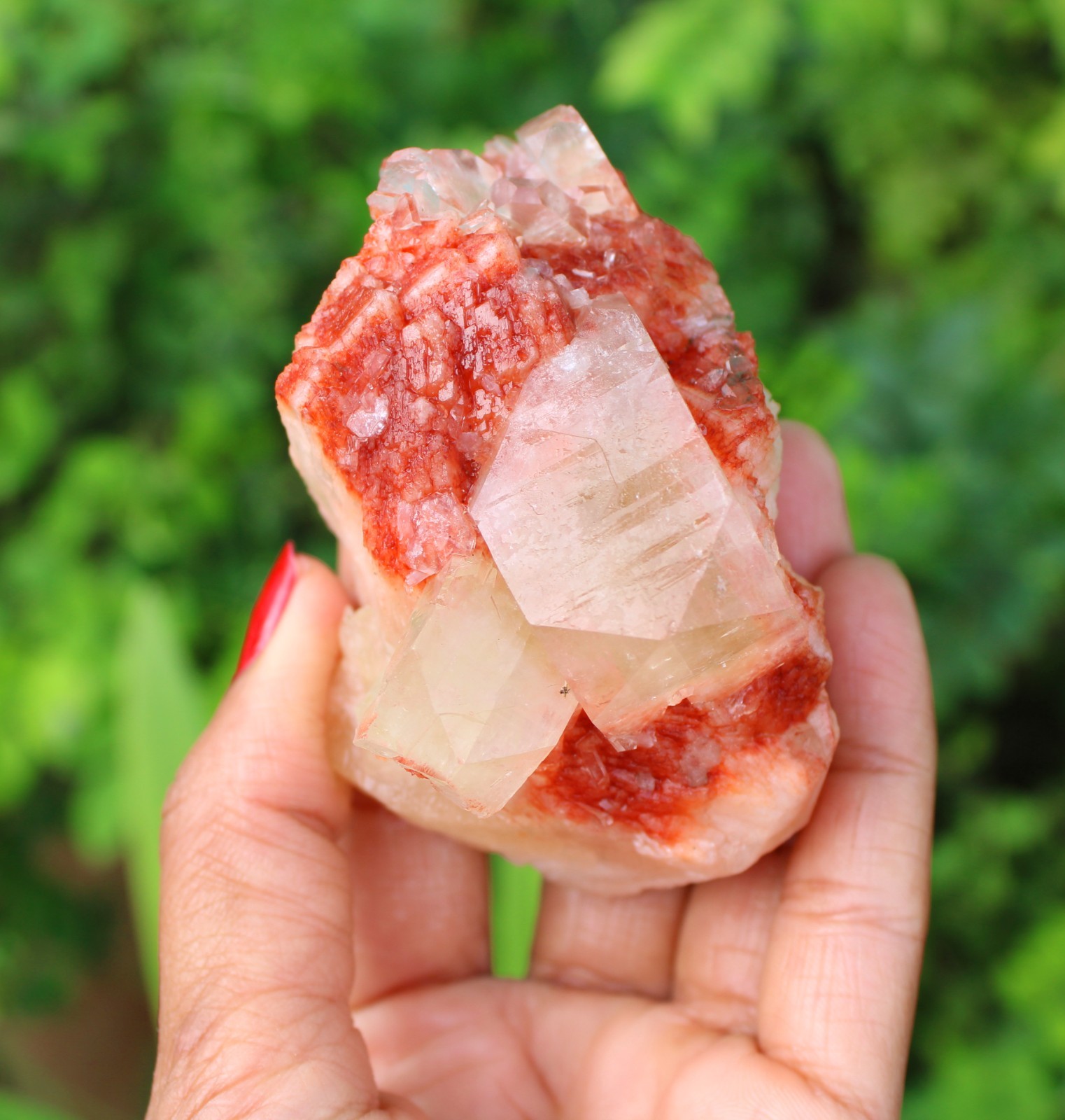 APOPHYLLITE CRYSTALS ON RED STILBITE MINERAL SPECIMEN