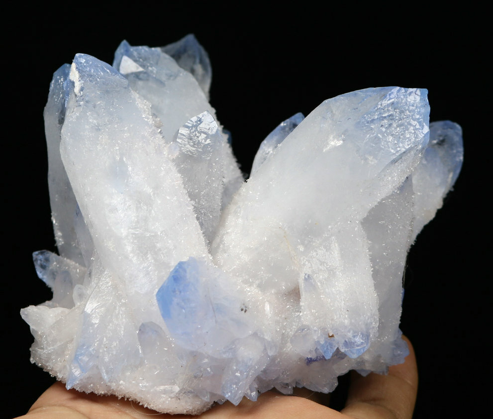 1.69lb Rare Beatiful Blue Tibetan Ghost phantom Quartz Crystal Cluster Specimen