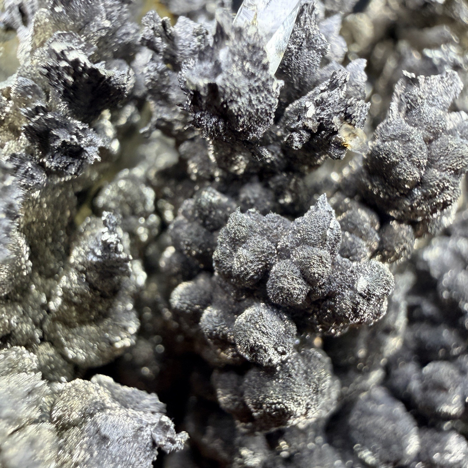 Golden Calcite Crystals on Wild Looking Chalcopyrite Matrix / Missouri *VIDEO*