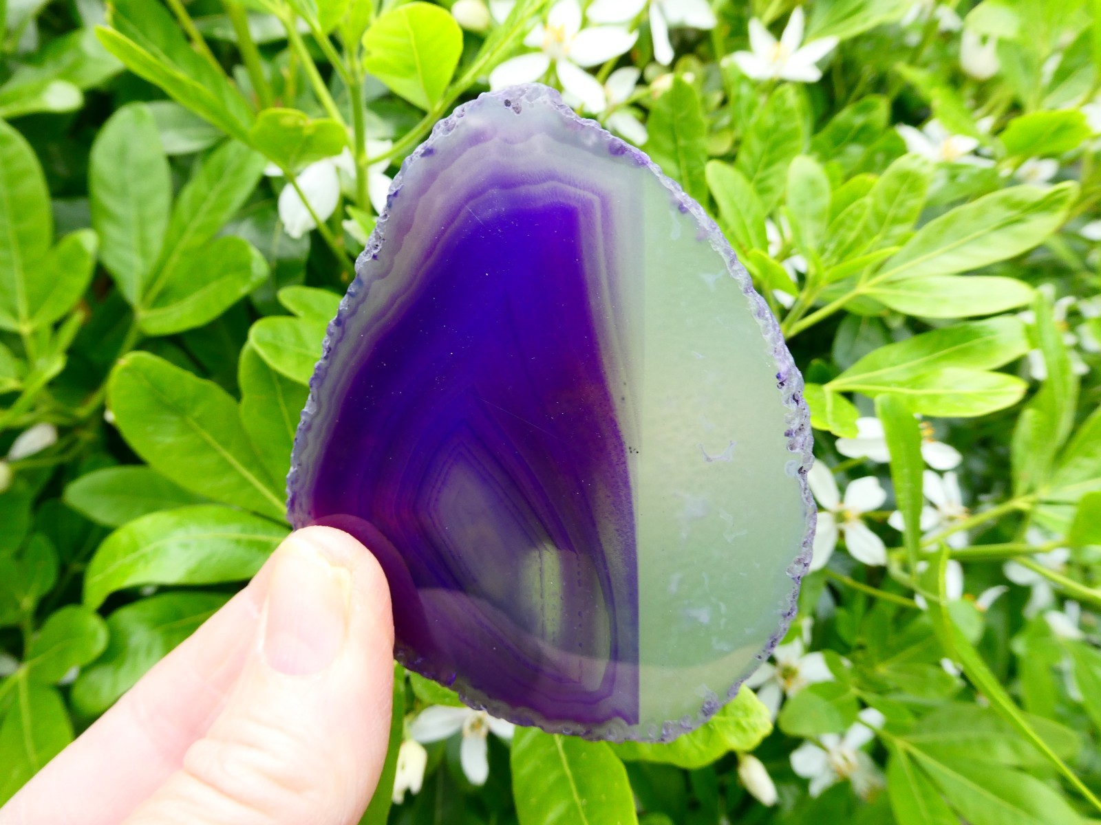 Large Polished Purple Agate Crystal Slice 78mm (7.8cm) x 63mm (6.3cm) Brazil
