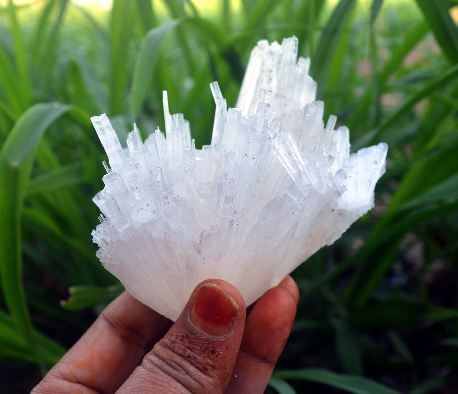 scolecite spray minerals specimen a-4