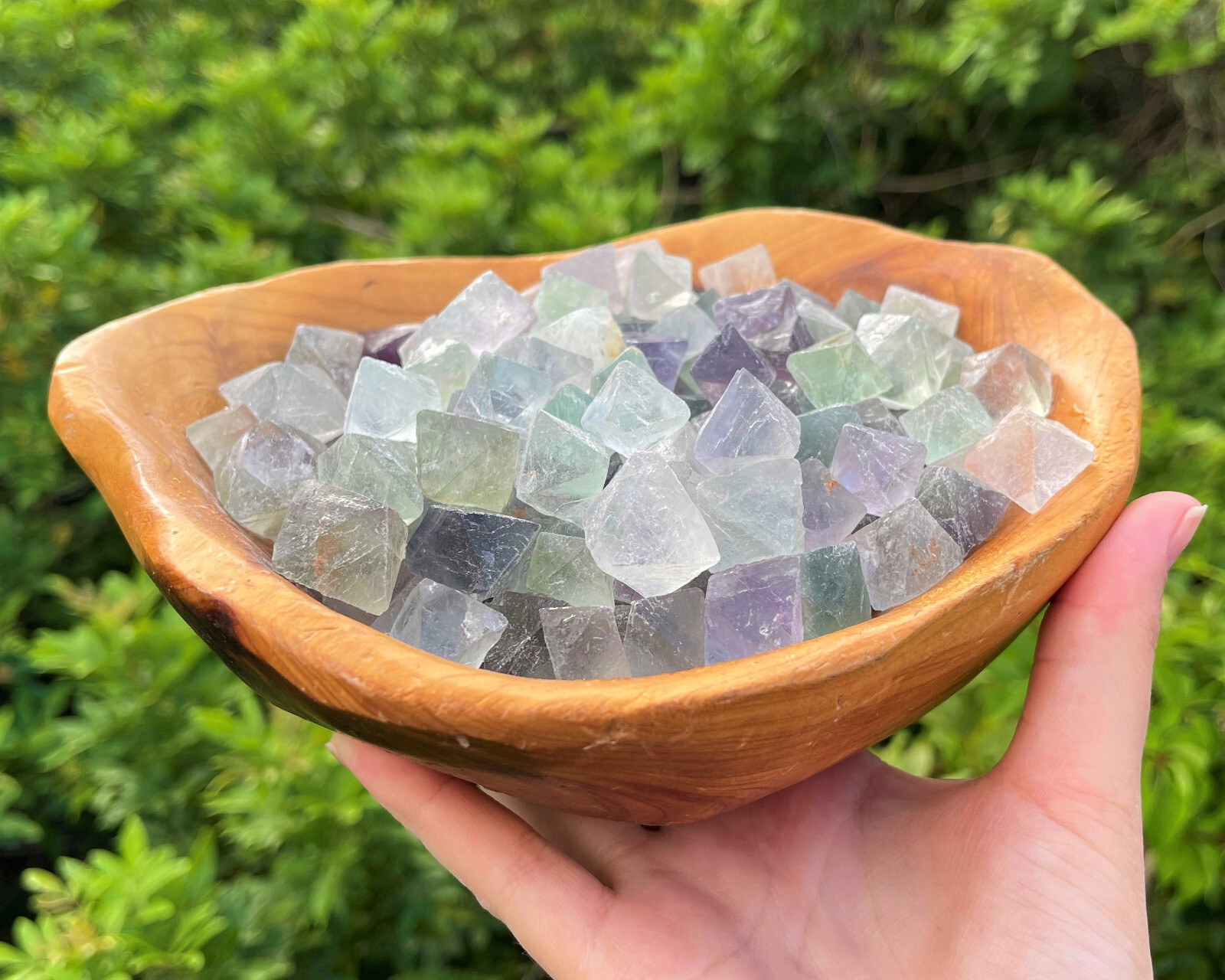 Fluorite Octahedron Crystals: Choose How Many Pieces (Premium Quality ‘A’ Grade)