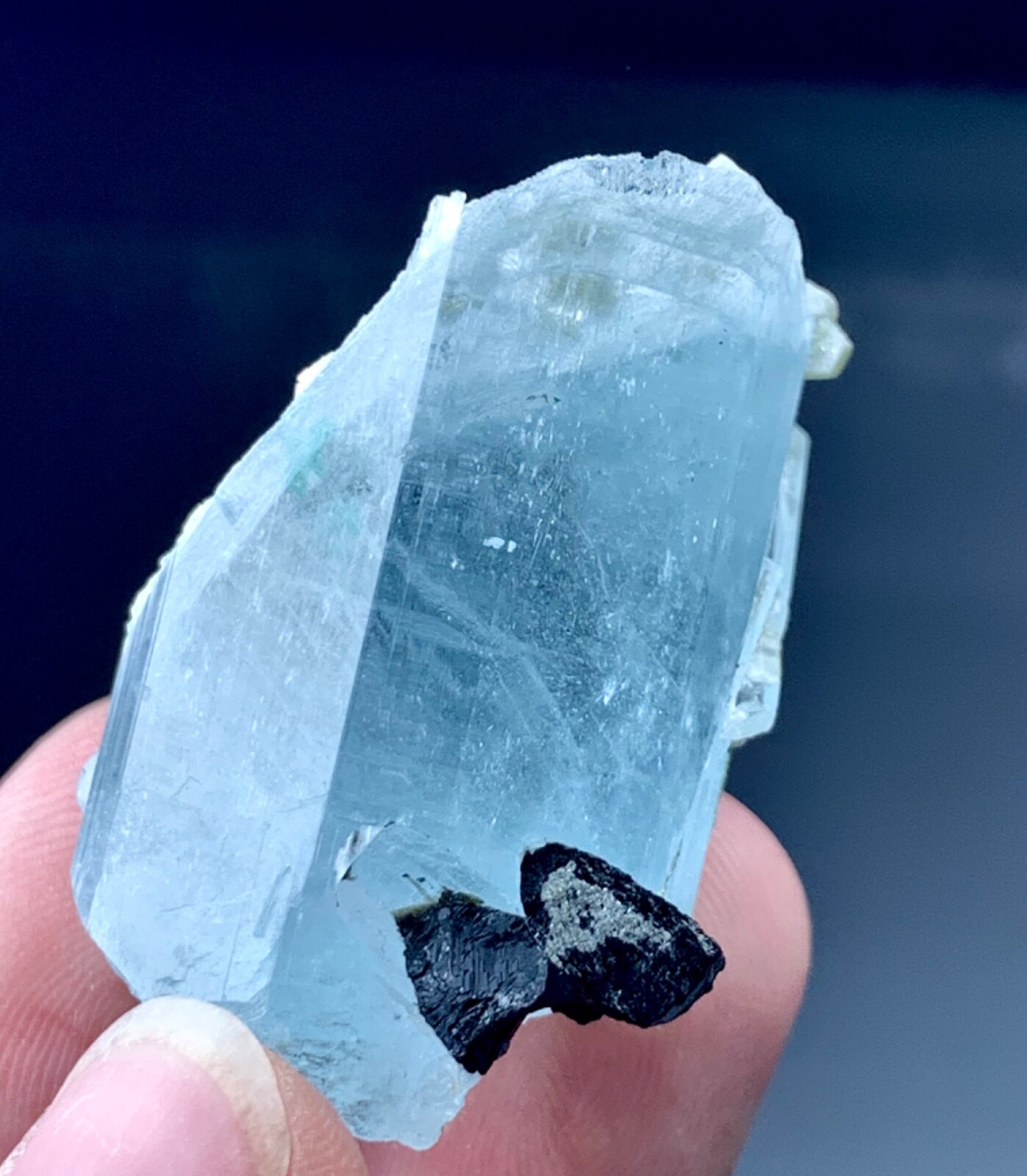 118 Carat Aquamarine Crystal With Black Tourmaline Specimen From Pakistan
