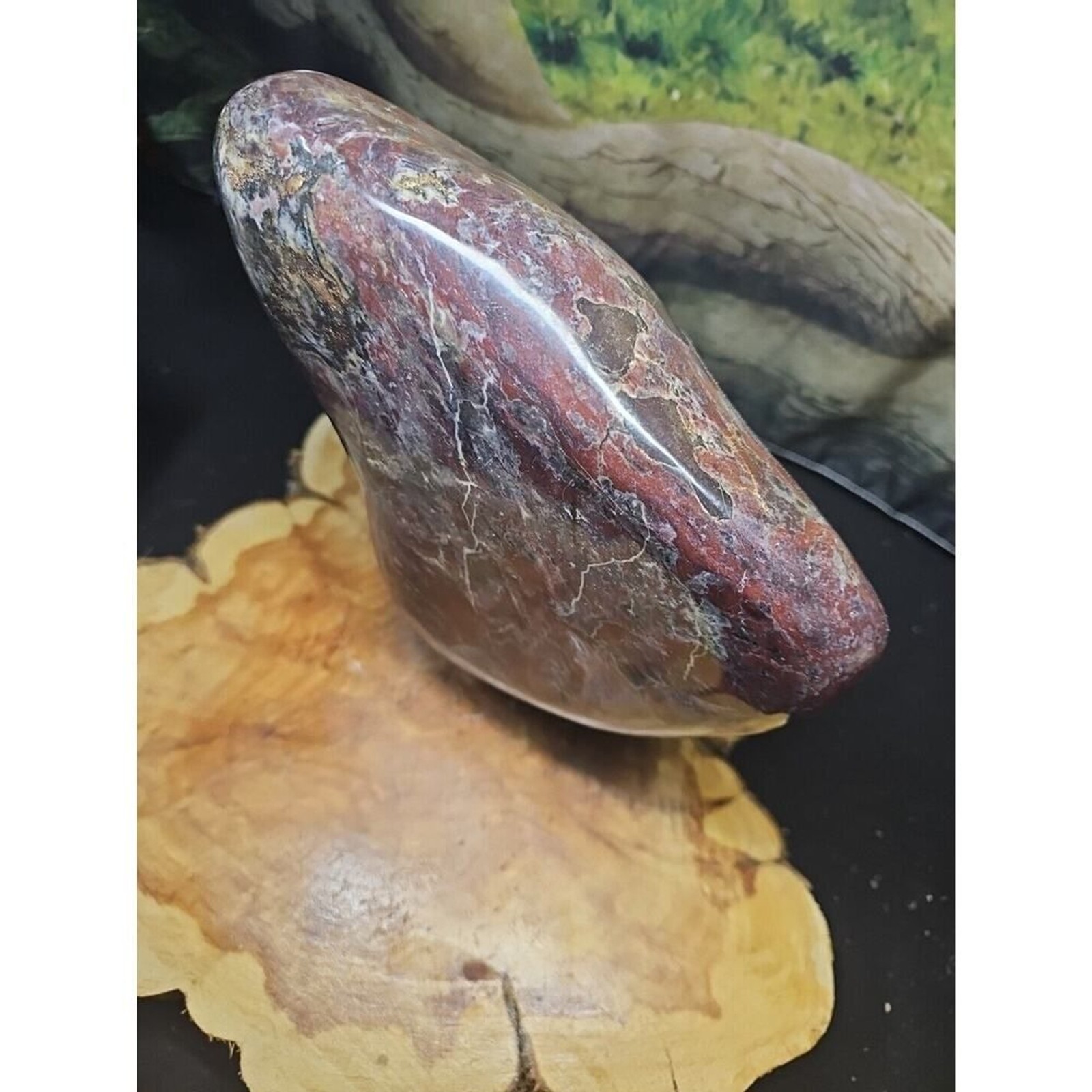 Chicken Blood Stone Quartz Crystal – CrystalCloud Company