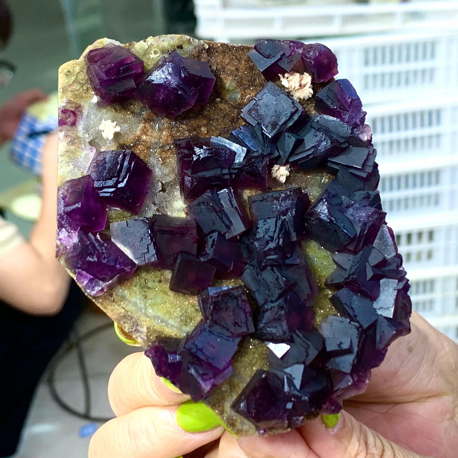 331G Rare Purple cubic fluorite mineral crystal sample/Zhejiang