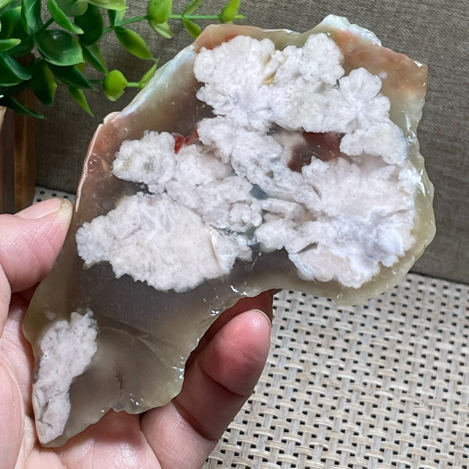 Natural Snowflake Cherry Blossom agate Rough Polished Mineral Specimen 177g A43
