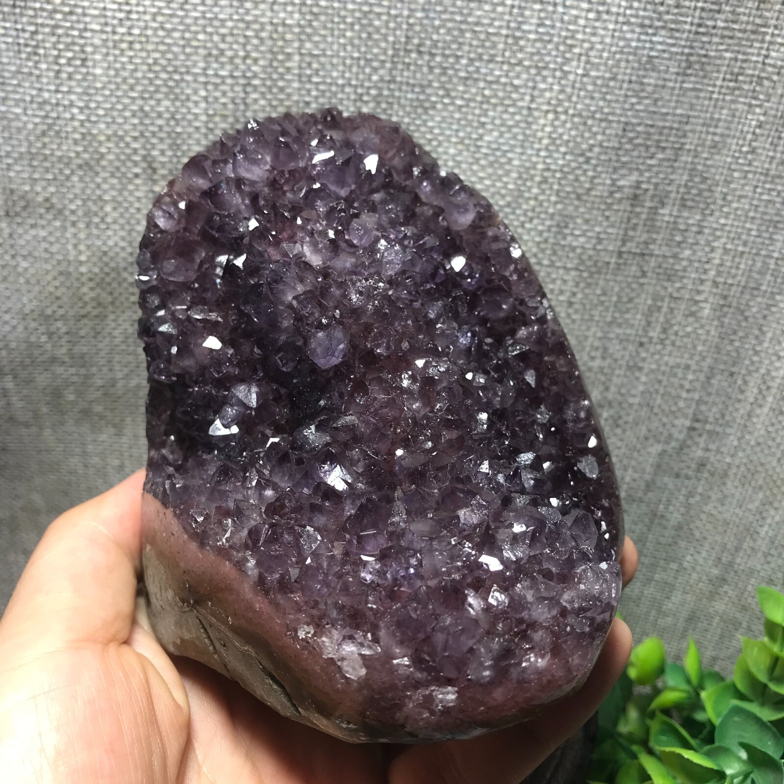 821g Natural Amethyst Cluster Geodes Cut Base Quartz Crystal Healing Specimen 32