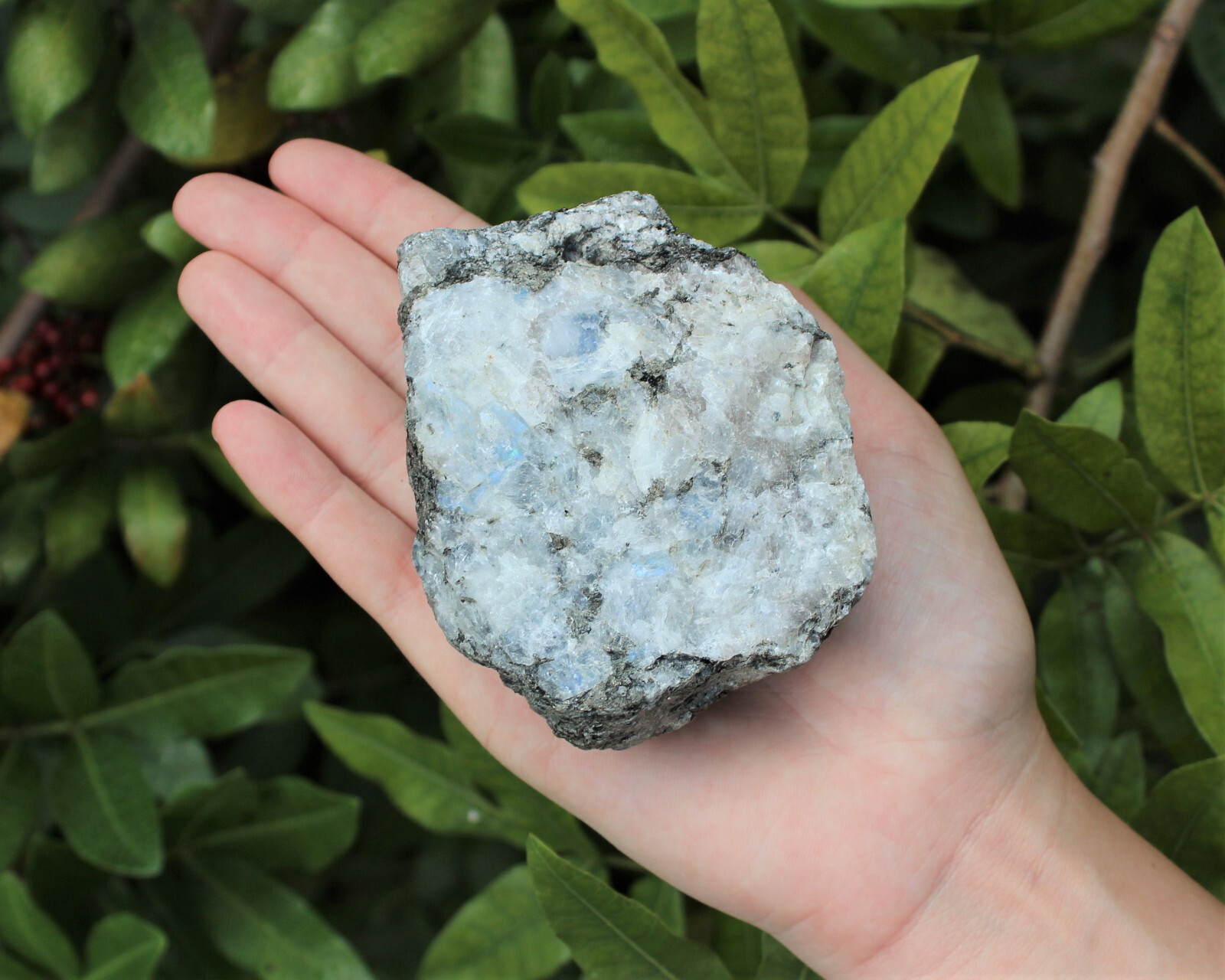 JUMBO Rainbow Moonstone Natural Raw Crystals – HUGE Rough Rainbow Moonstone