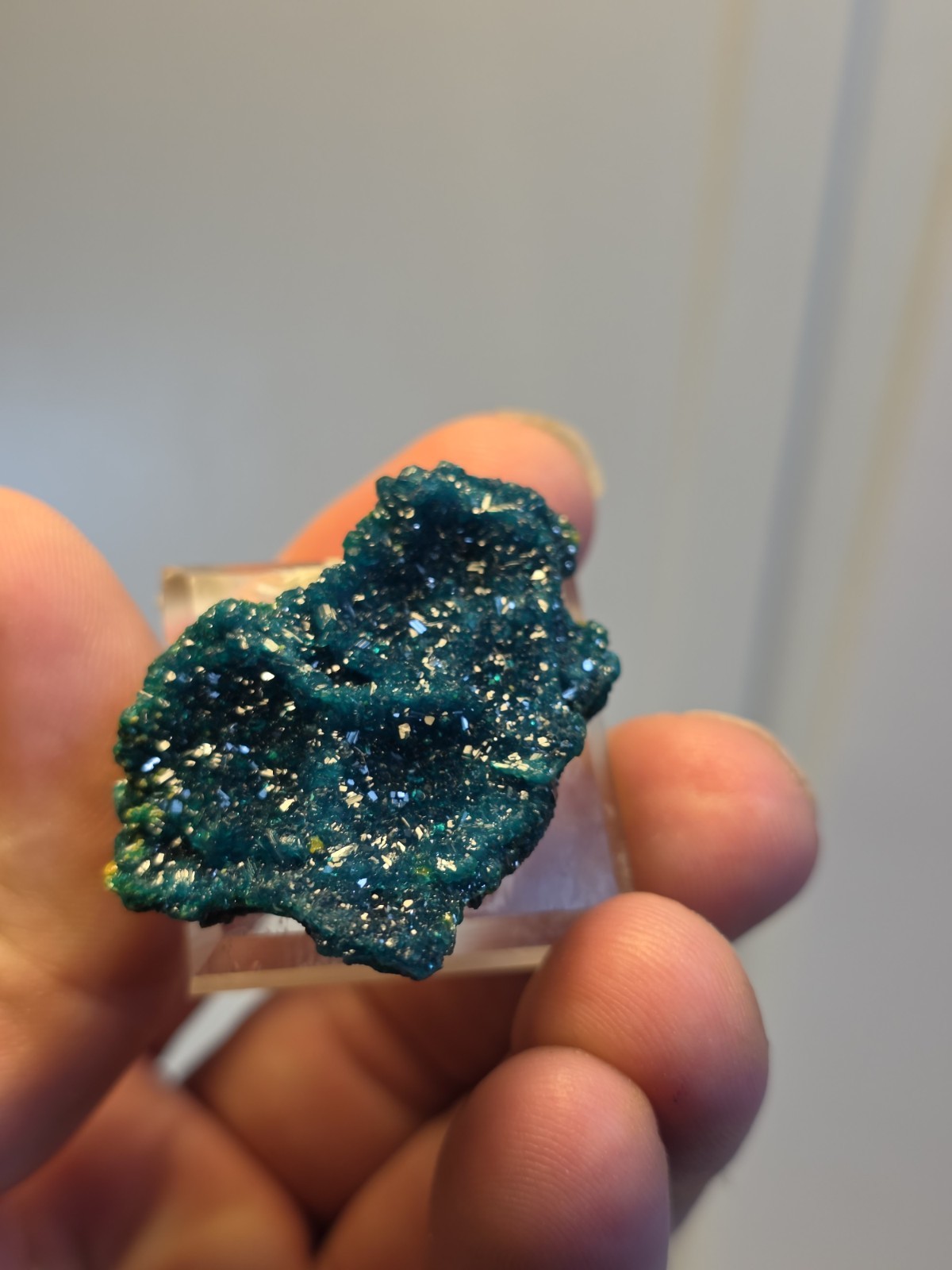 DIOPTASE w/ Wulfinite Crystal Mineral Specimen Cluster Green CONGO AFRICA 4.5 cm