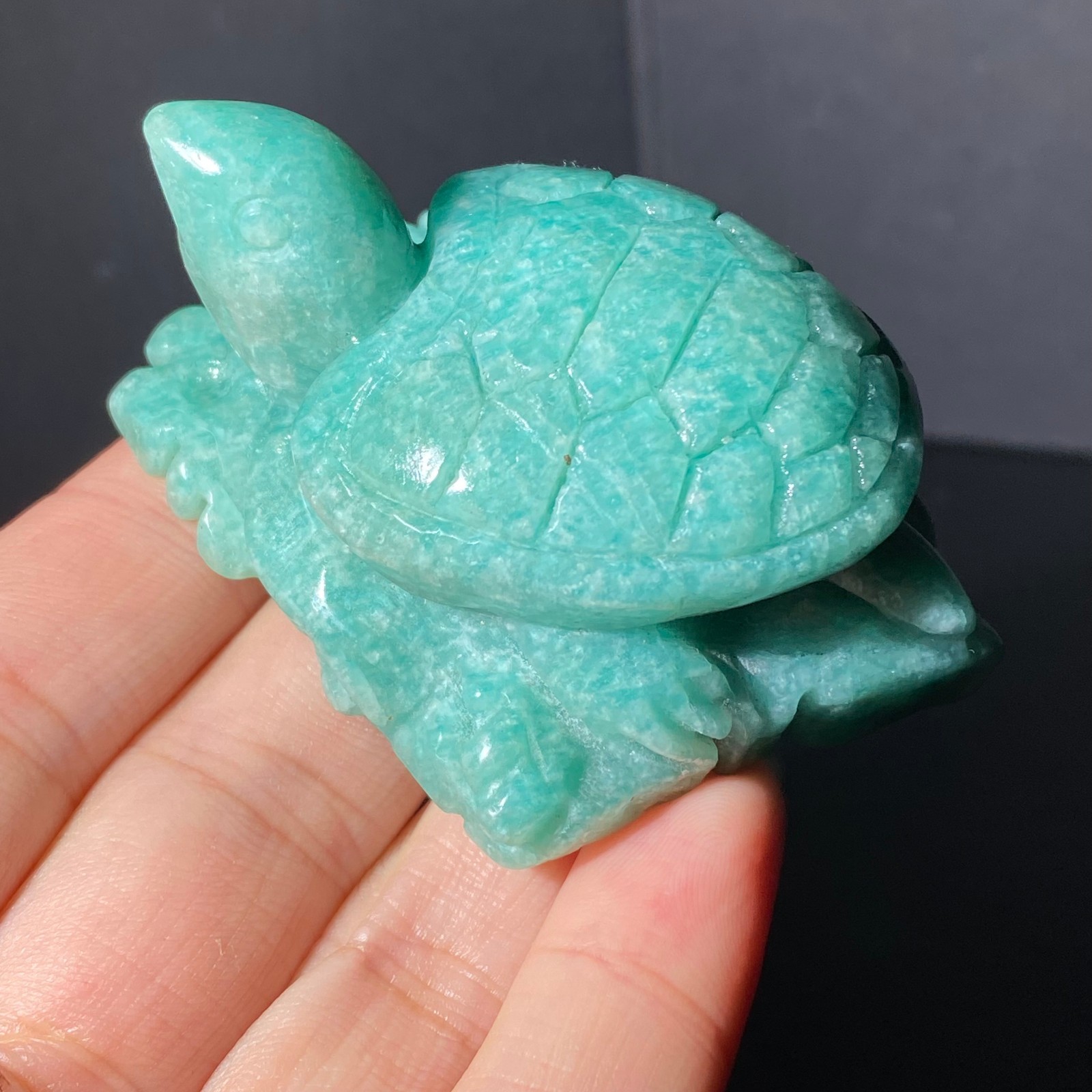 108G Natural Tianhe stone Turtle Quartz Tortoise Carved Crystal Skull Healing