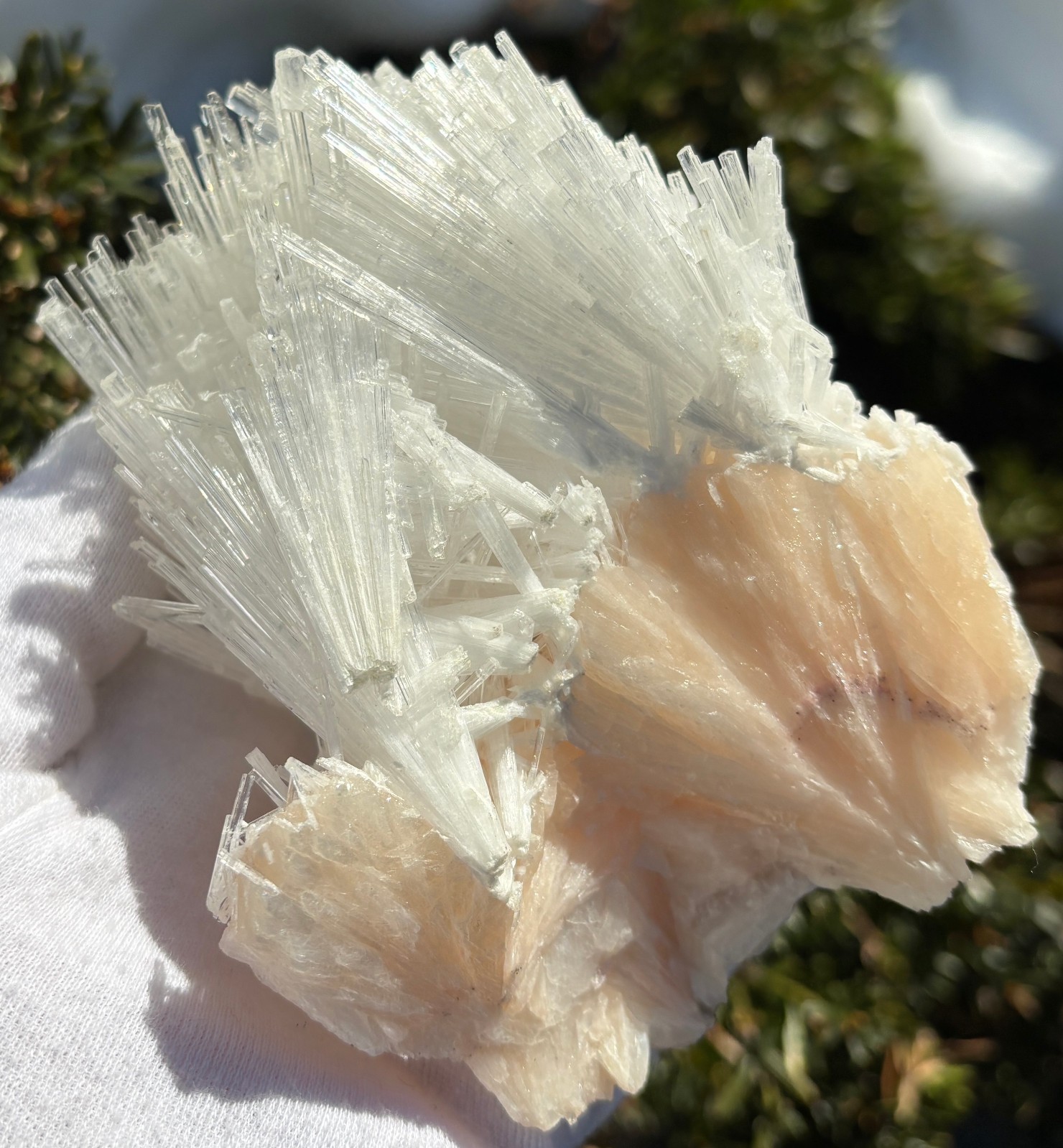USA SALE 262g 4.3″ x 3.3″ LARGE SCOLECITE STILBITE SPECIMEN Fan/Blades/Spray