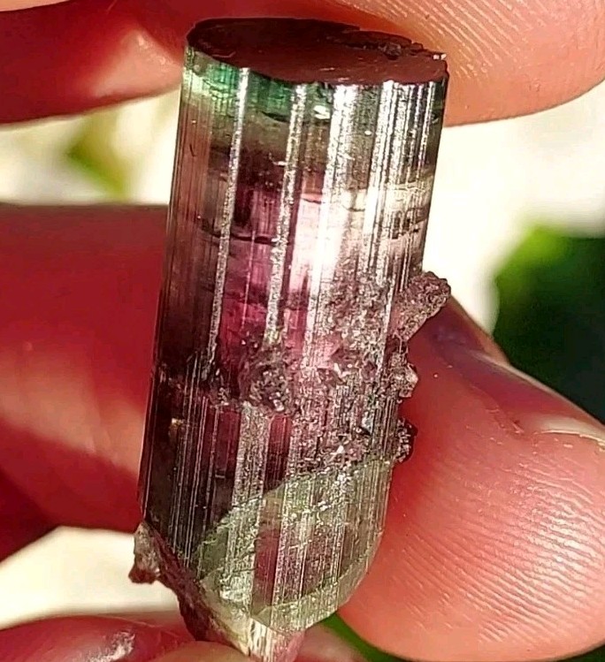ULTRA RARE BURKHARD’S POCKET TOURMALINE NO REPAIRS PEDERNEIRA MINE BRAZIL