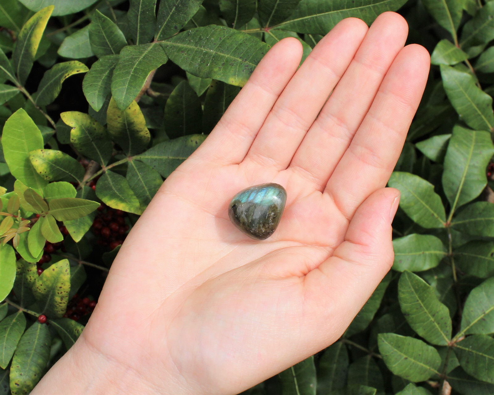Labradorite Tumbled Stones: Choose How Many Pieces (‘A’ Grade Natural Polished)