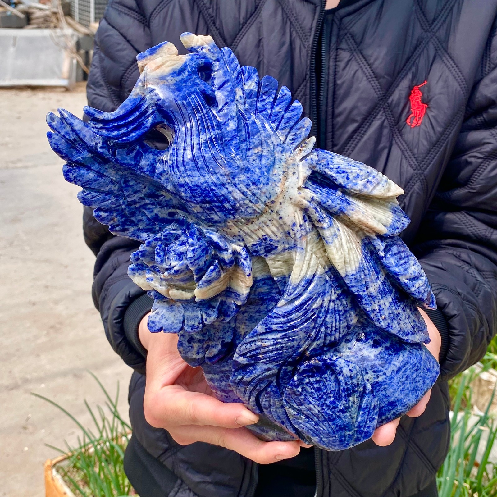 7LB Natural Blue Texture Crystal Carving Phoenix Rose Spiritual Energy