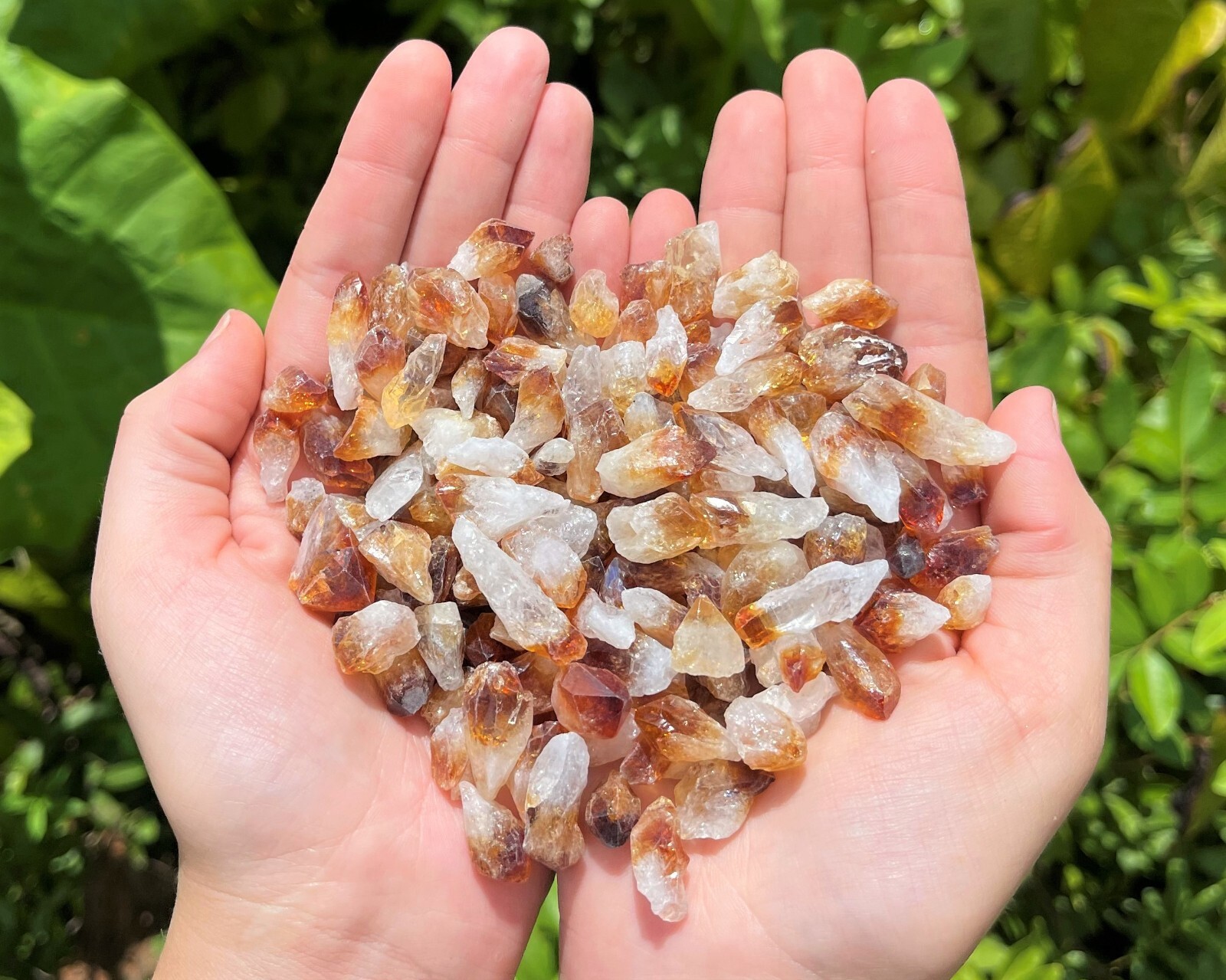 1/2 lb Bulk Citrine Points Crystal Collection in Box (‘A’ Grade Premium Citrine)