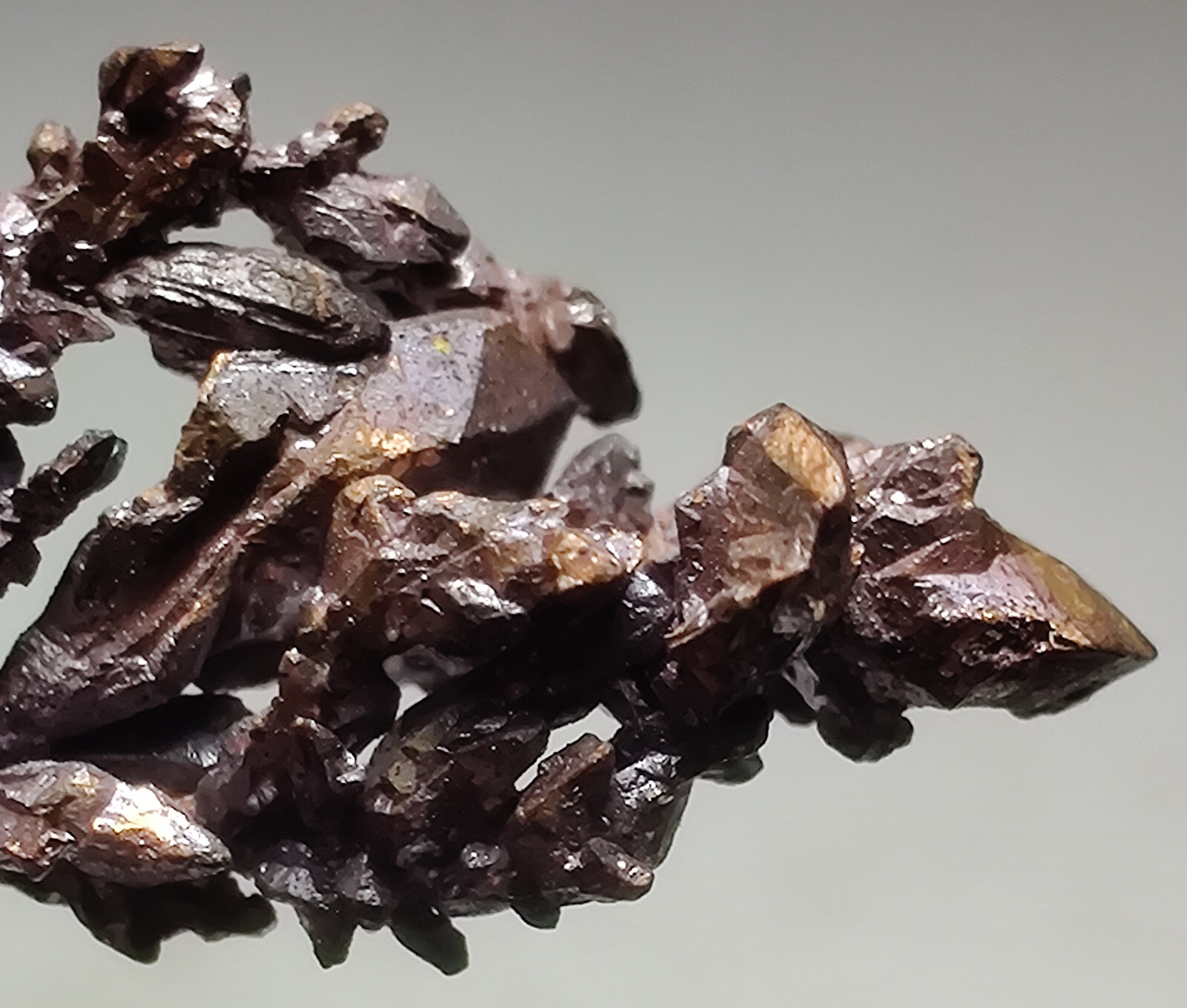 Copper crystals, lovely aborescent form. Itauz Mine, Kazakhstan. 2.5 cm.
