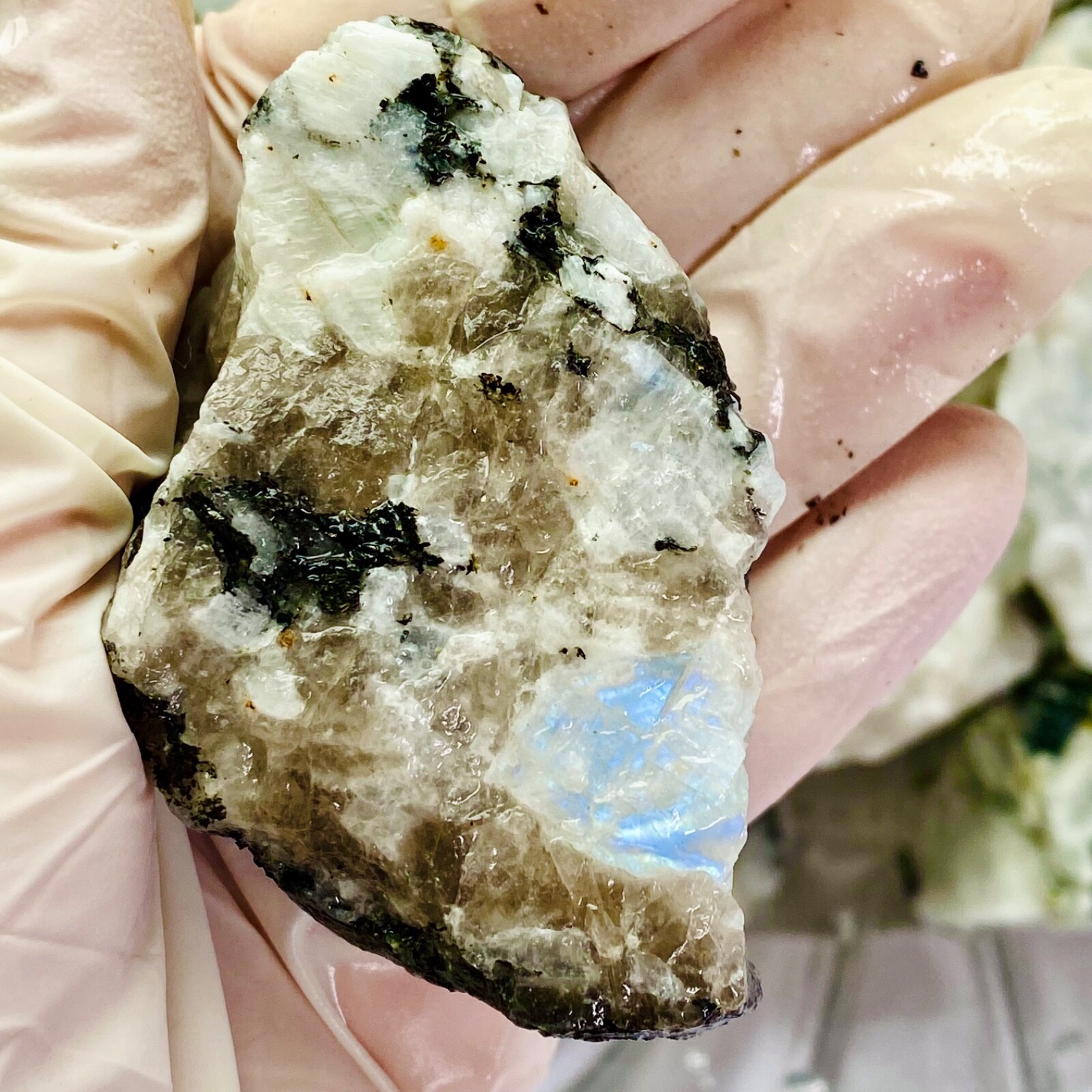 Blue White Moonstone in Quartz Black Mica Raw Natural Rough Crystal Random Pull