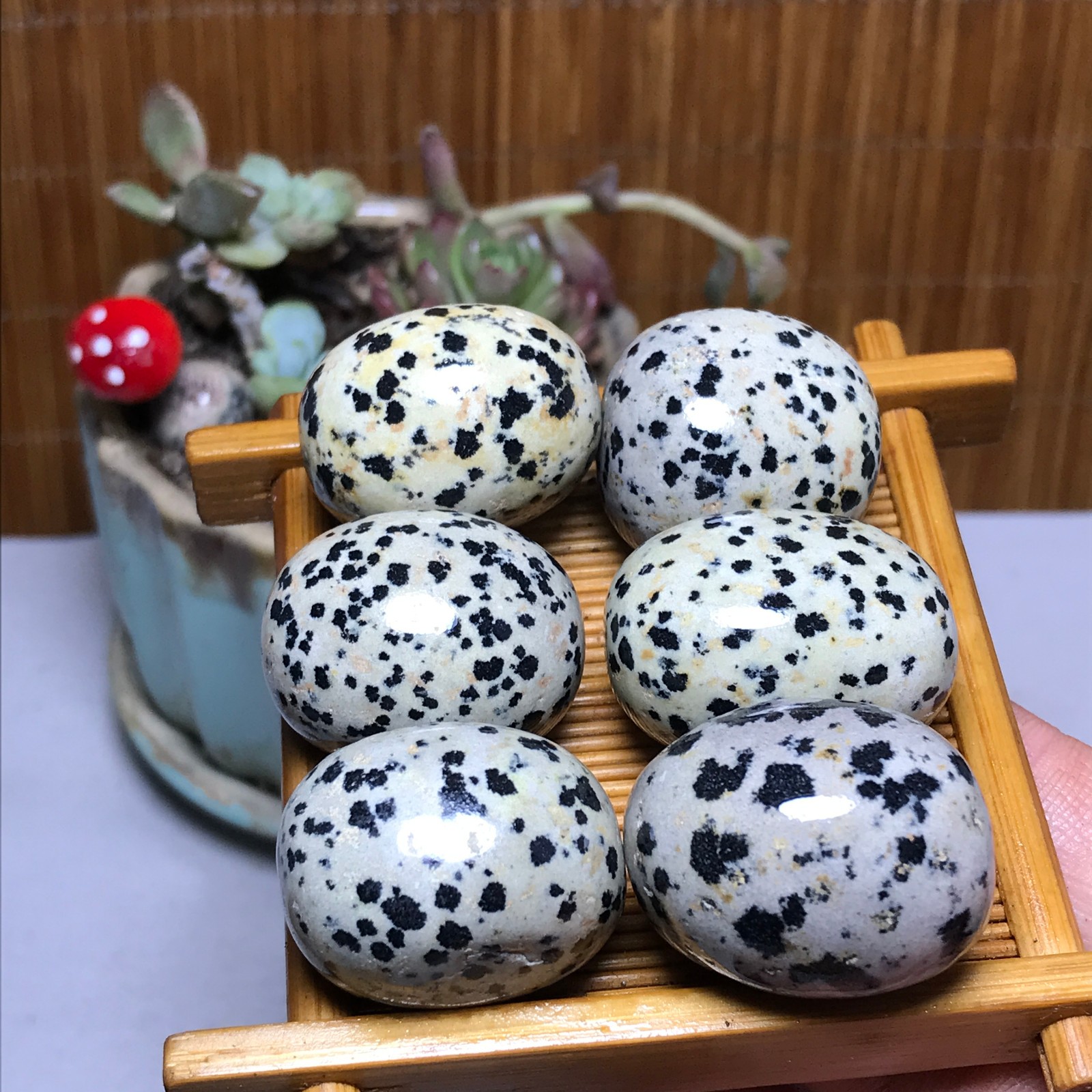 30-22-21mm 6Pcs Natural spotted stone Crystal gemstone Mineral Specimen A4401