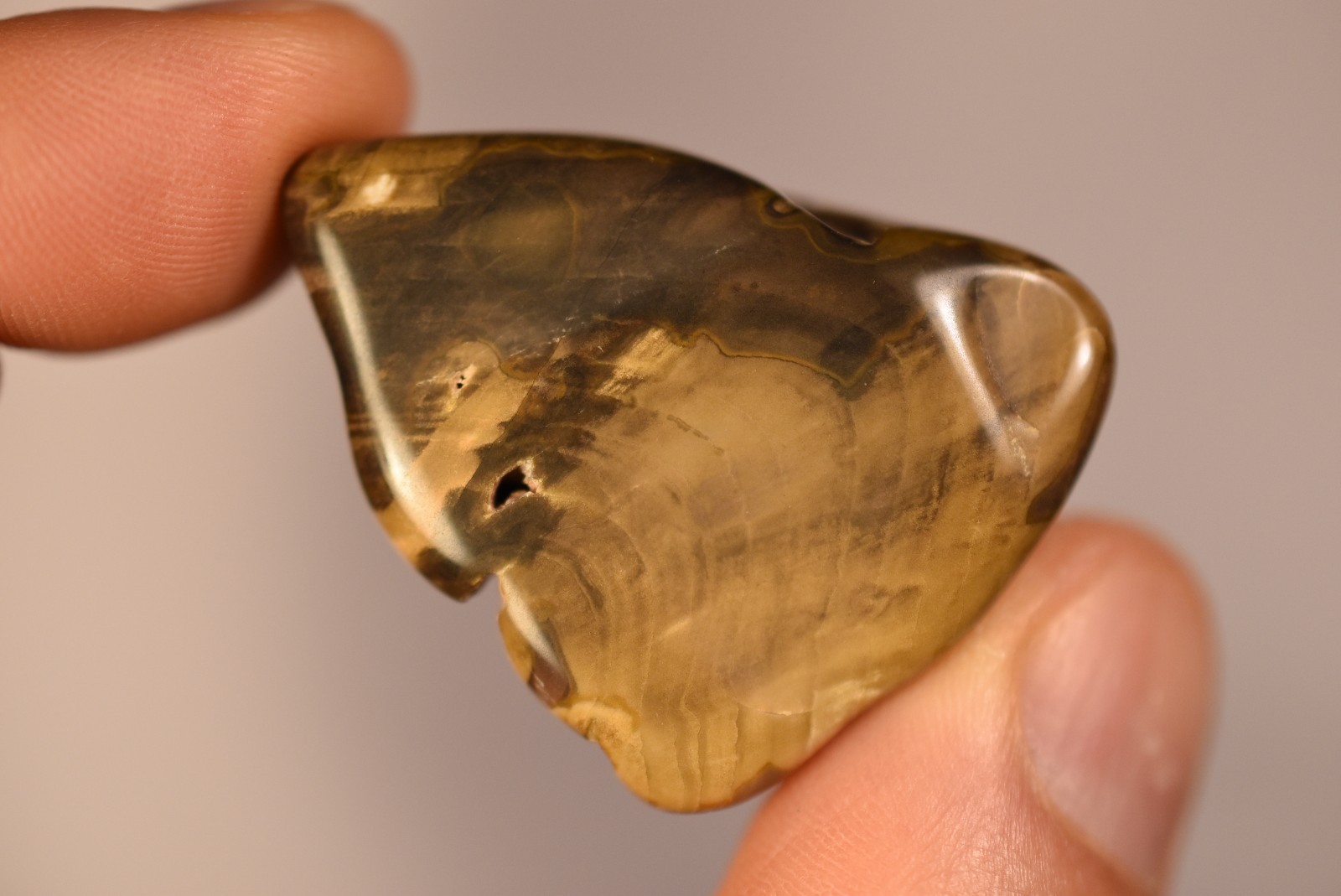 2 *AUSTRALIAN PETRIFIED WOOD* Tumbled Stones 4cm 58.2g Natural Stone QLD