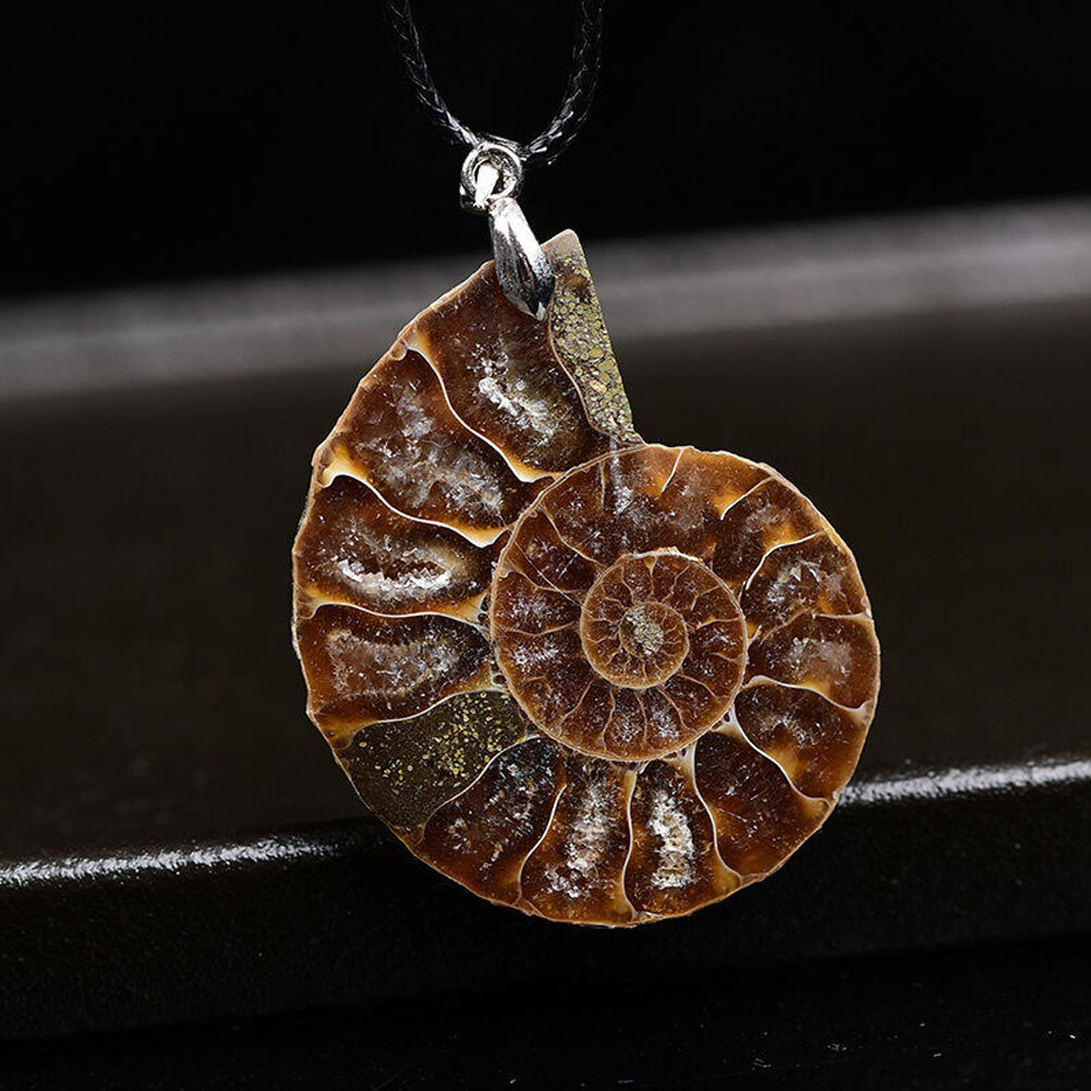 5Pcs Natural Conch Fossil Quartz Energy Stone crystal Healing Pendant Necklace