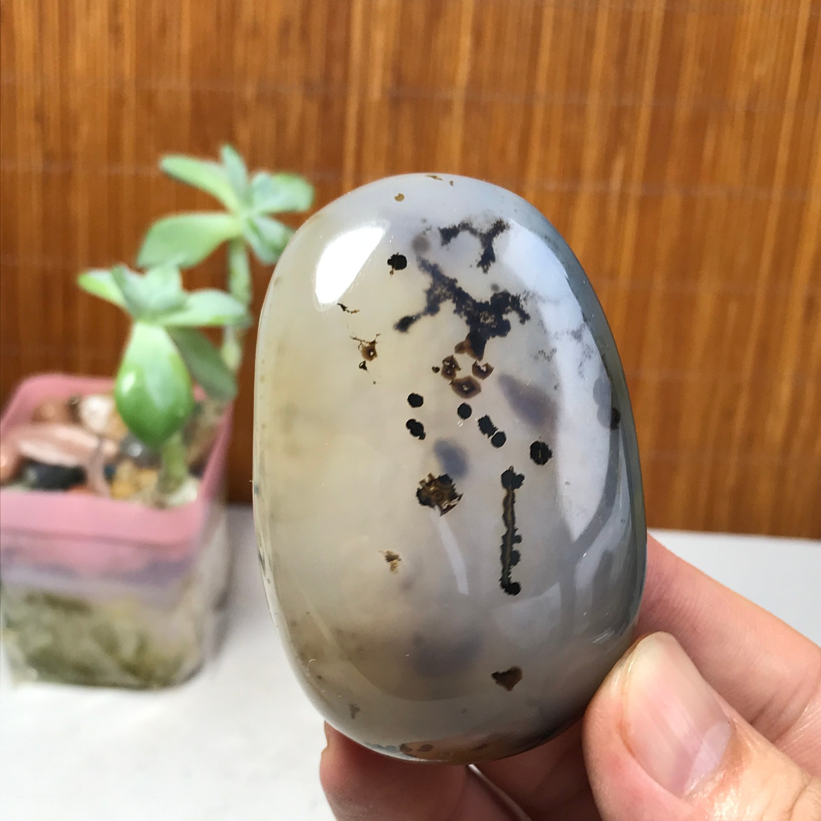 67mm Natural aquatic plants agate pretty Crystal specimens 142g A1633