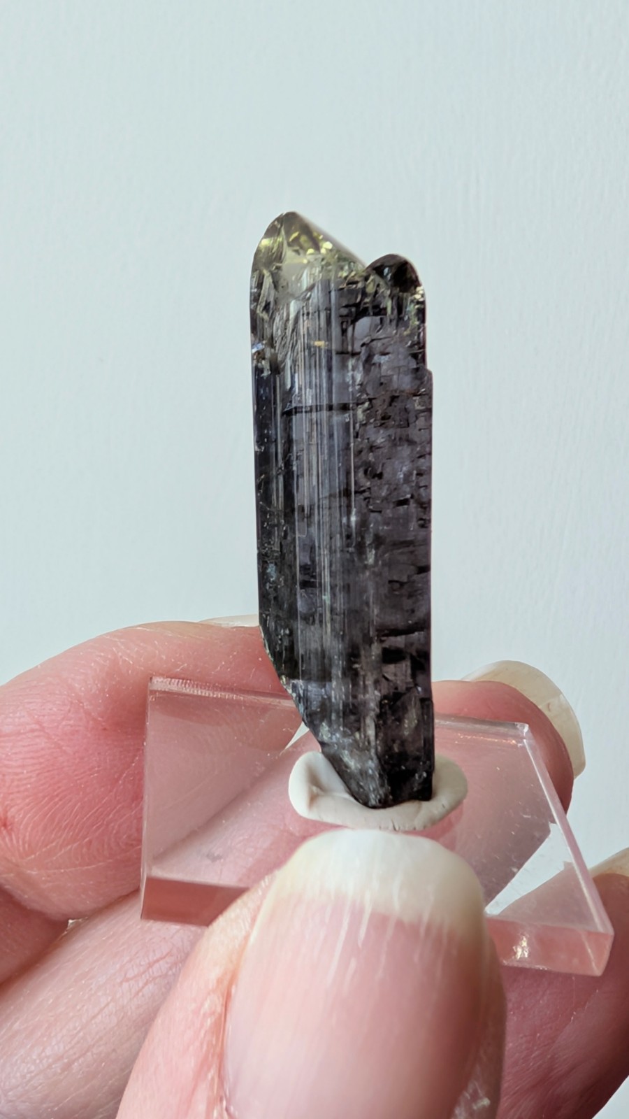 24.4 ct Natural Tanzanite Crystal – Strong Pleo Blue/Purple/Green – Unheated