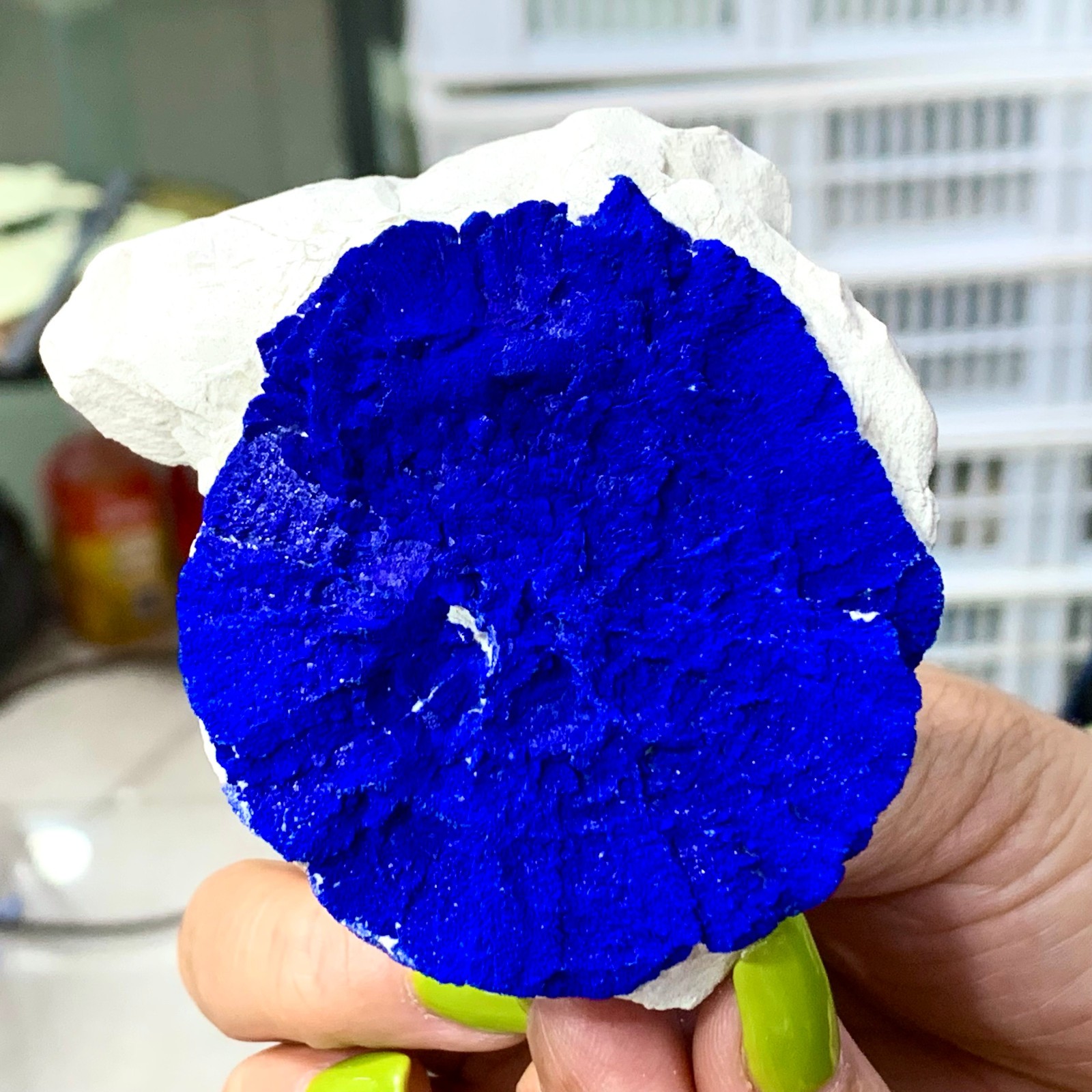 147G Sunflower azurite Fantastic Azurite Suns On Kaoline from Malbunka Australia