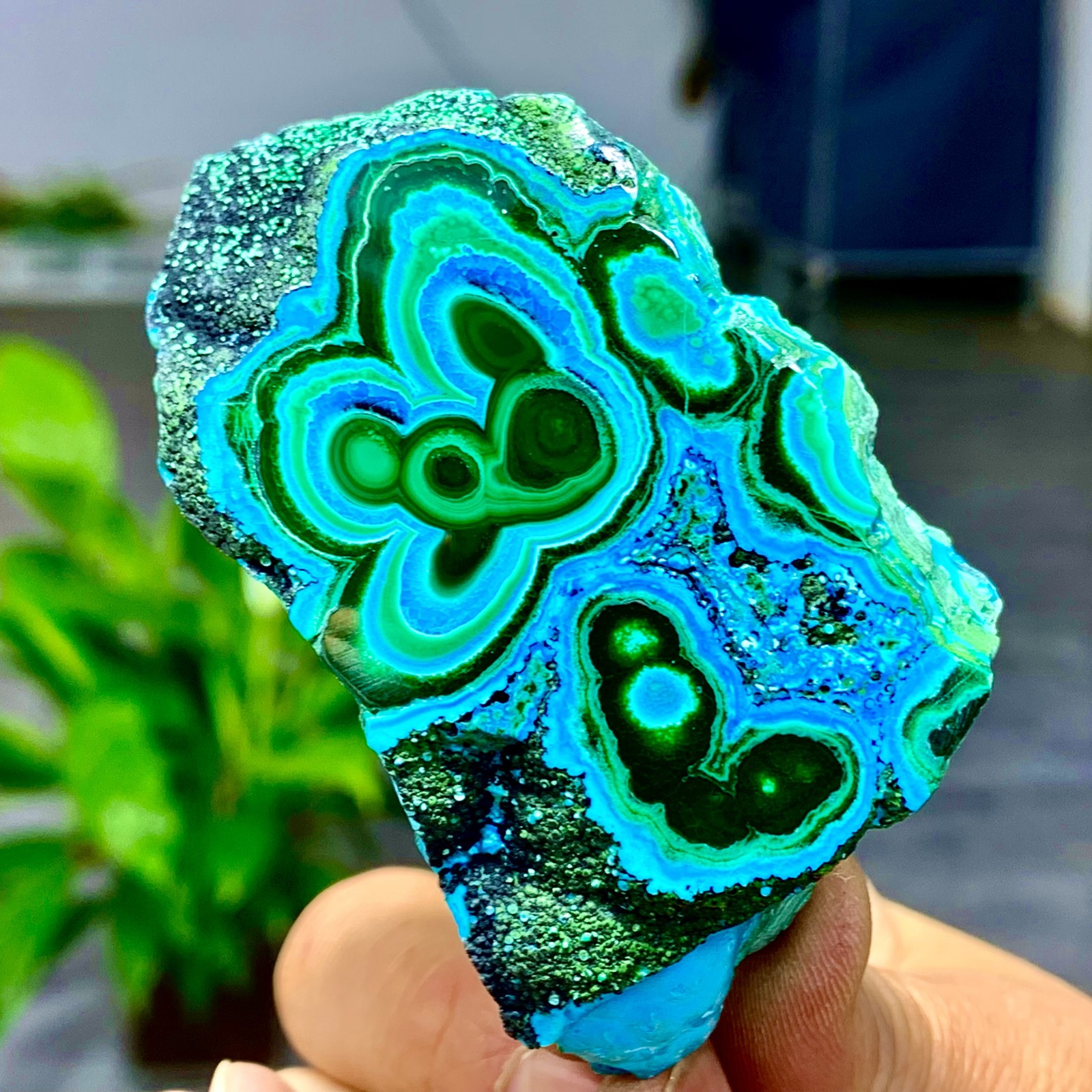205G Natural Chrysocolla/Malachite transparent cluster rough mineral sample