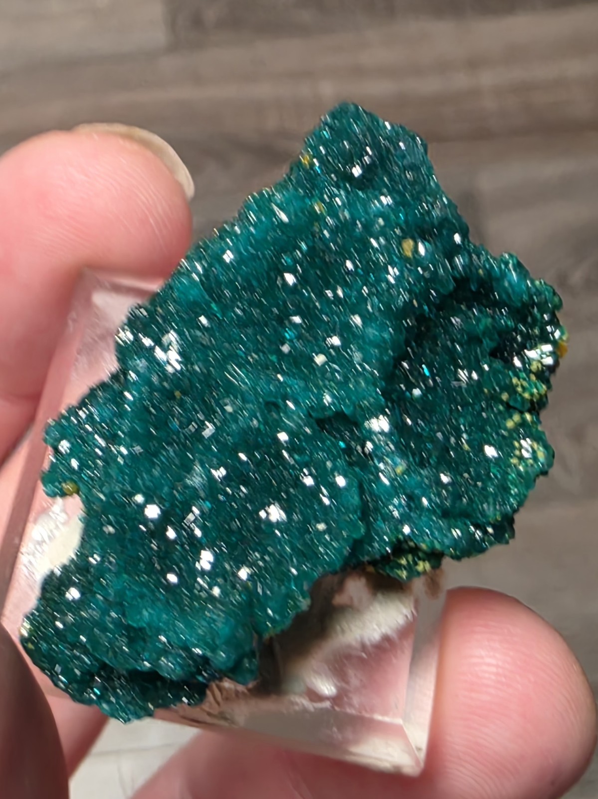 DIOPTASE w/ Wulfinite Crystal Mineral Specimen Cluster Green CONGO AFRICA 4.5 cm