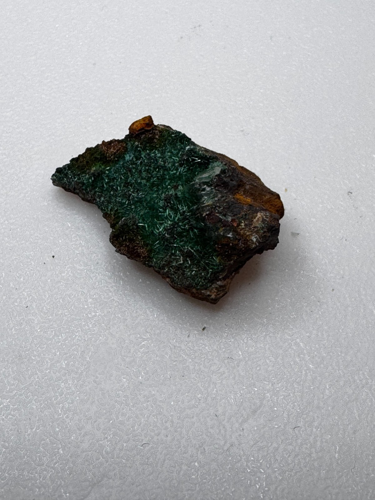 Brochantite Crystal Spray on Matrix Lavrion Greece Copper Mineral Estate