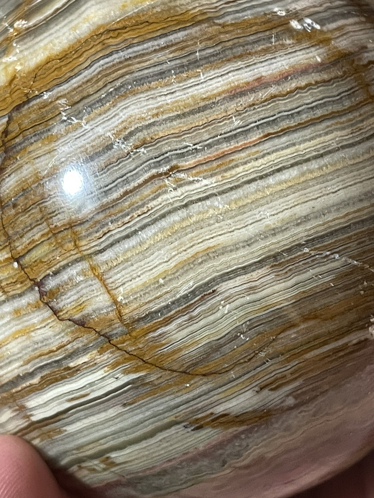 Polished Multicolored Banded Onyx Sphere Educational Specimen *See Photos/Notes*