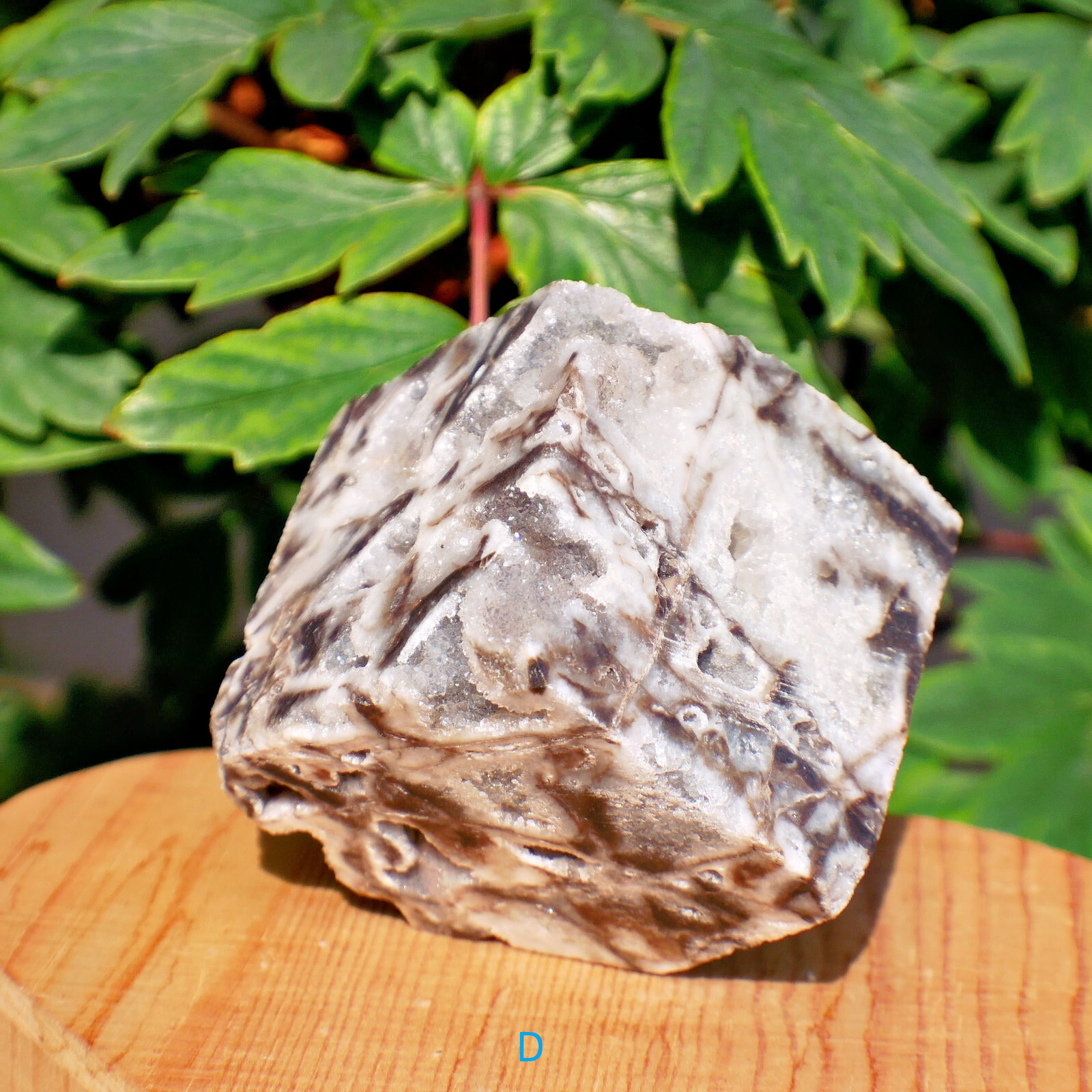 2″ Sphalerite Druzy Geode Cube Crystal Healing Gemstone Natural Mineral Specimen