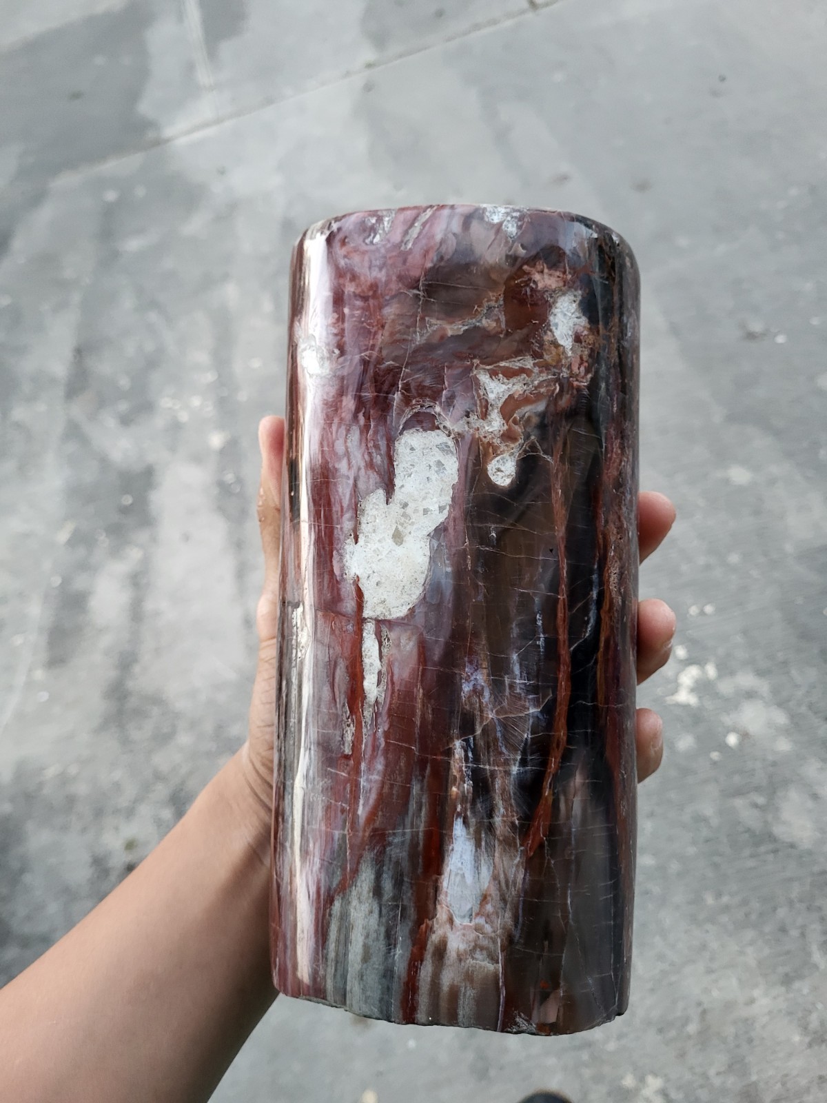 Massive 8lb Arizona Red Petrified Wood Specimen – Giant Polished Healing Crystal