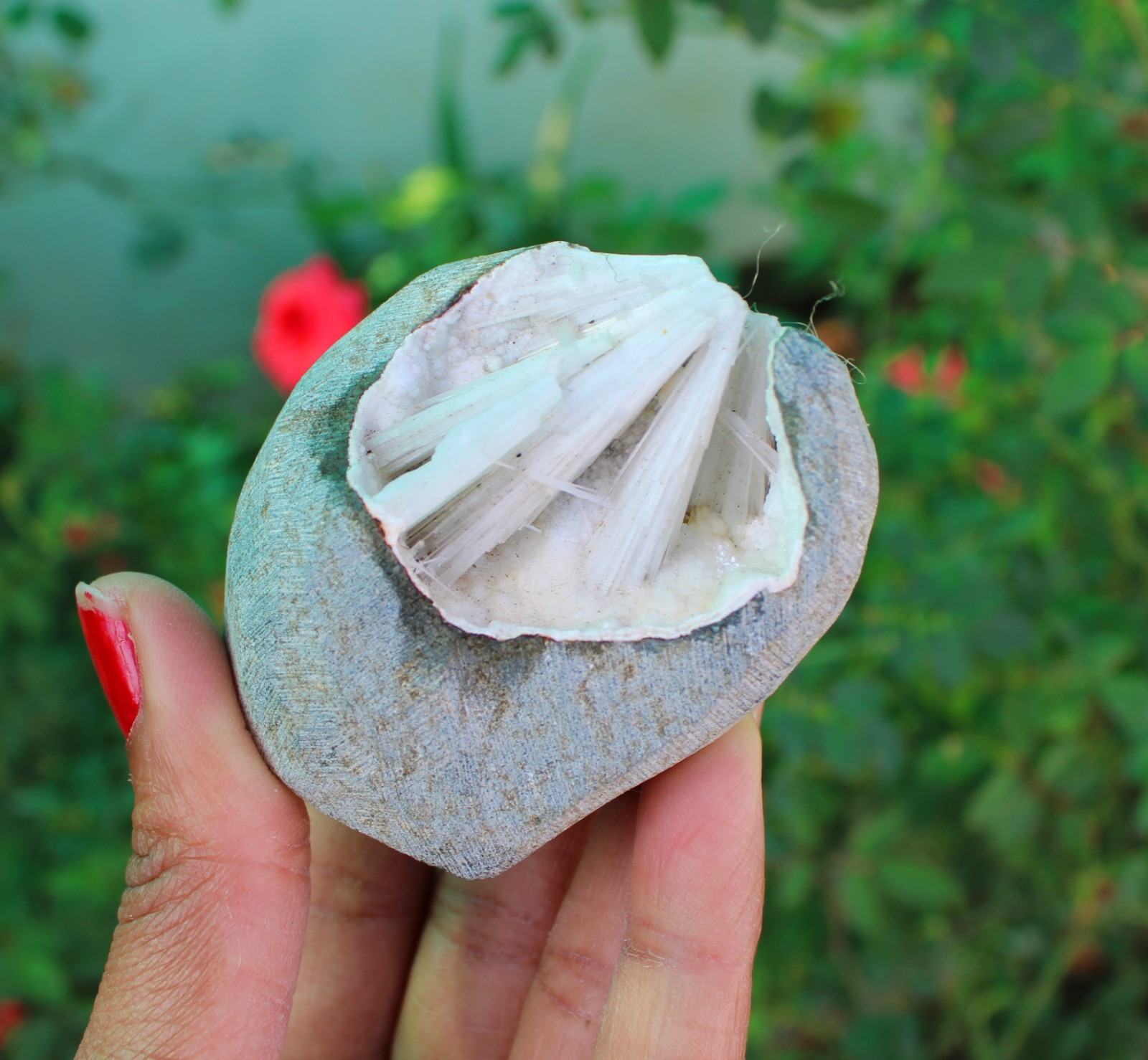 Scolecite In Geode Minerals Specimen#A9