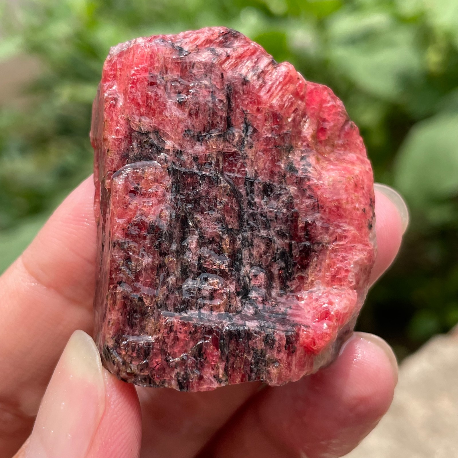 74g Small Raw Ore Red Black Rhodonite Quartz Gemstone Mineral Specimen
