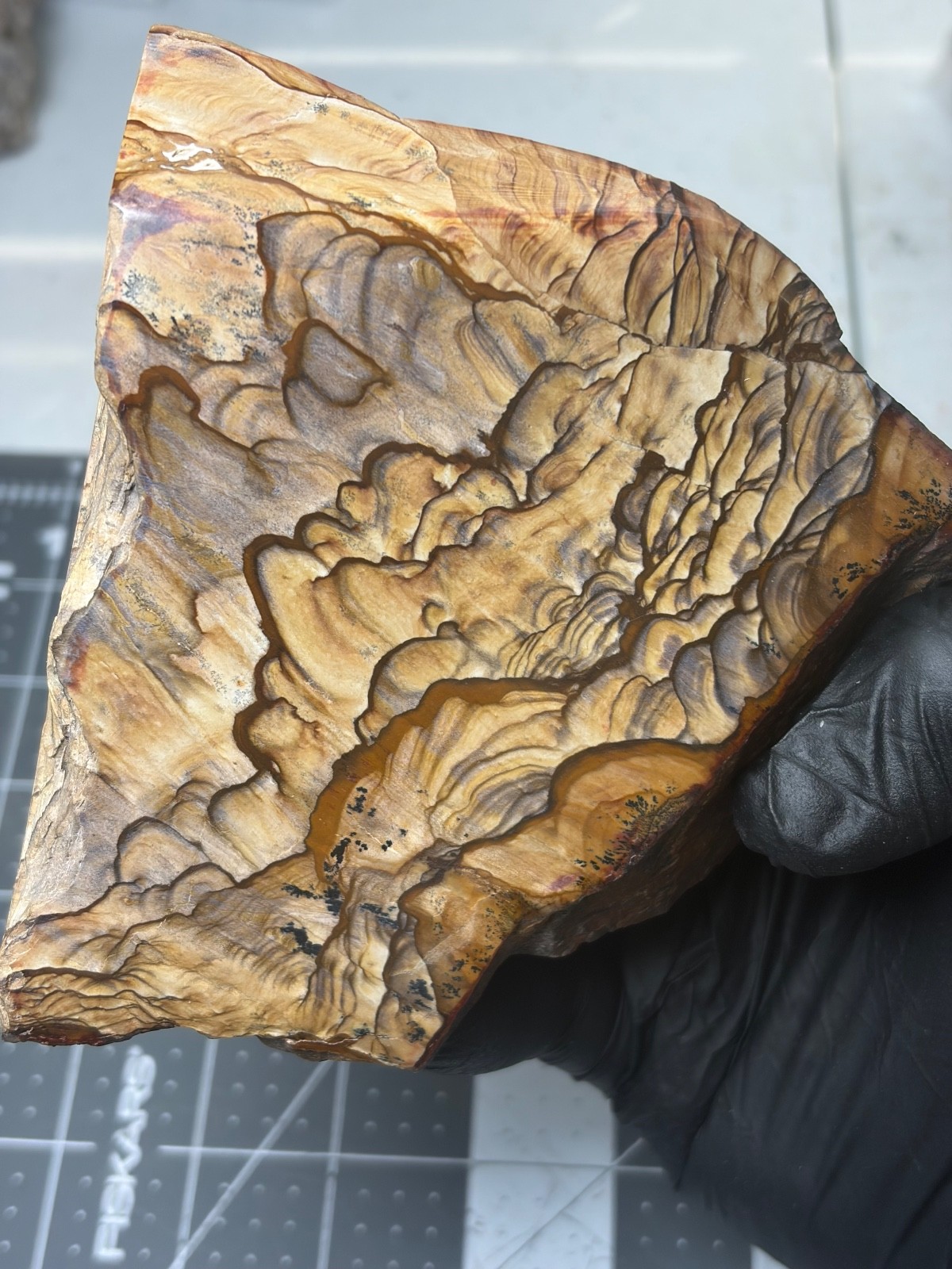 Rare Blue Biggs Picture Jasper Faced Polished Specimen AAA Quality Mountains