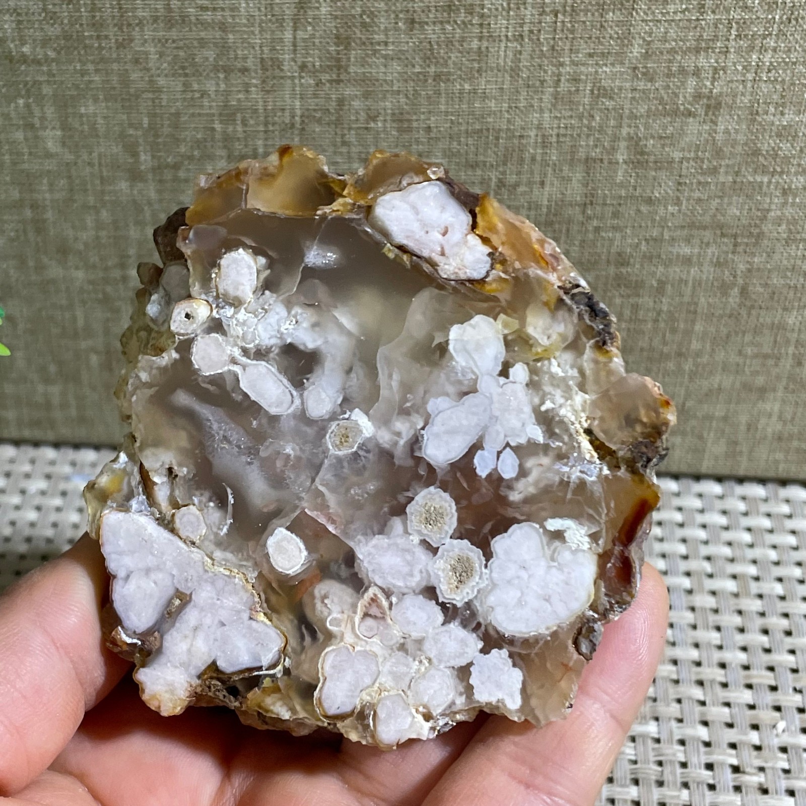 Sakura Agate Blossom Facet Rough Specimen Madagascar 183g ba10